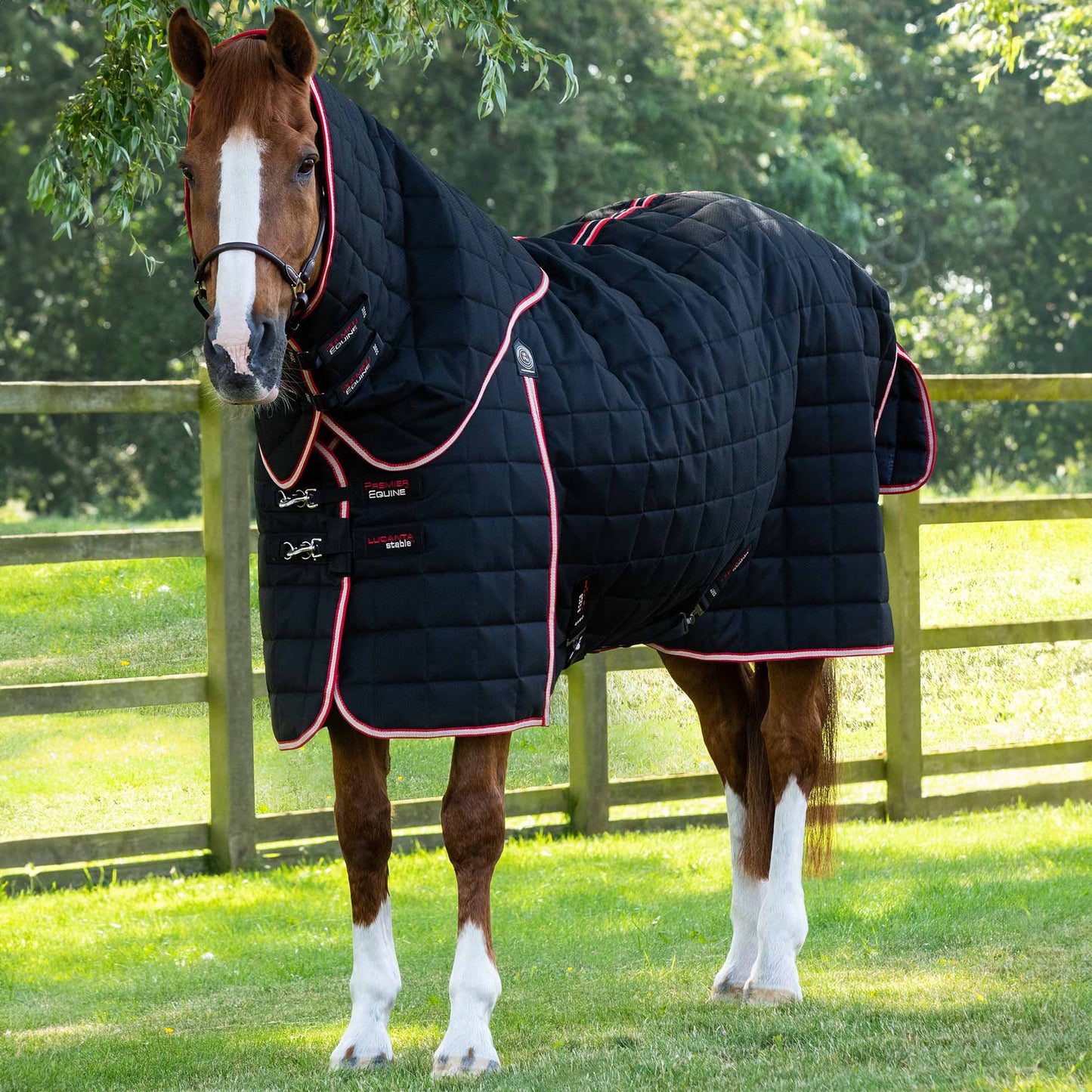 Couverture d’Écurie Lucanta 450g avec Couvre Cou Amovible | Polyester 600D Respirant & Coussin de Garrot
