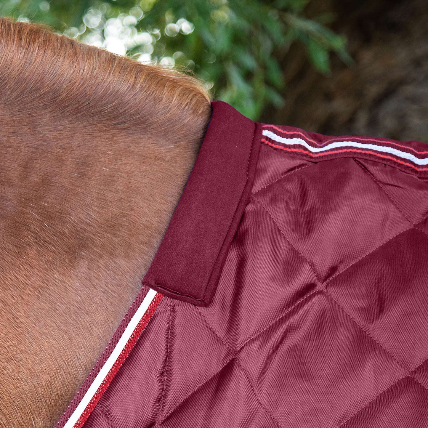 Couverture d’Écurie Tuscan 100g en Polyester Ripstop 420D Respirant | Premier Equine