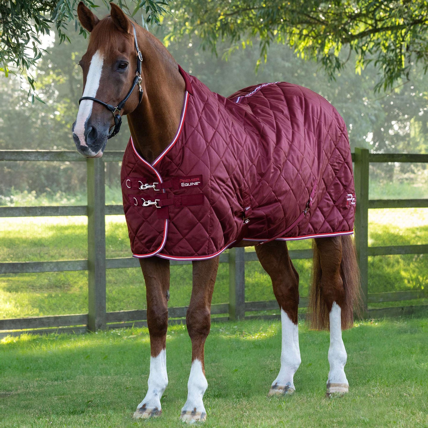 Couverture d’Écurie Tuscan 100g en Polyester Ripstop 420D Respirant | Premier Equine