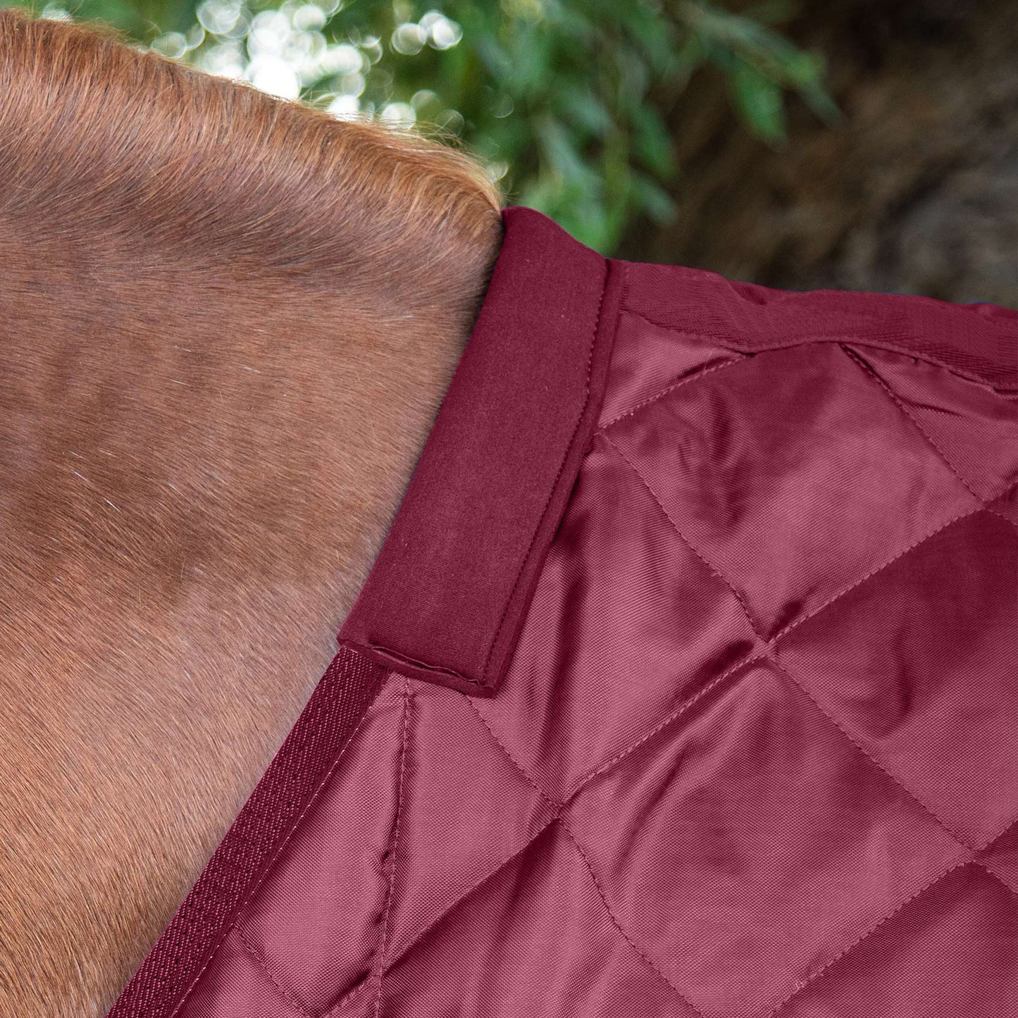 Couverture d’Écurie Tuscan 200g en Polyester Ripstop 420D Respirant | Premier Equine