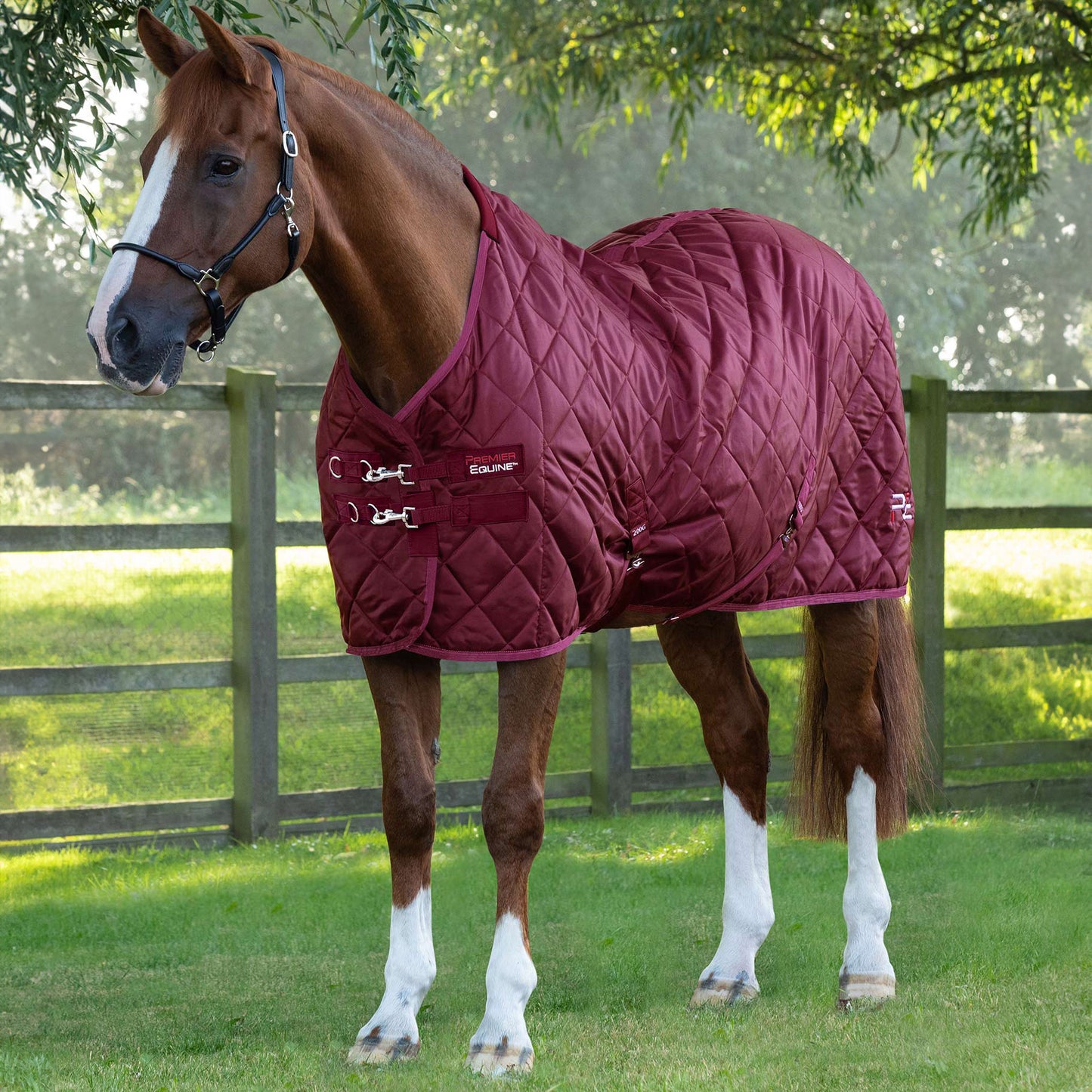 Couverture d’Écurie Tuscan 200g en Polyester Ripstop 420D Respirant | Premier Equine