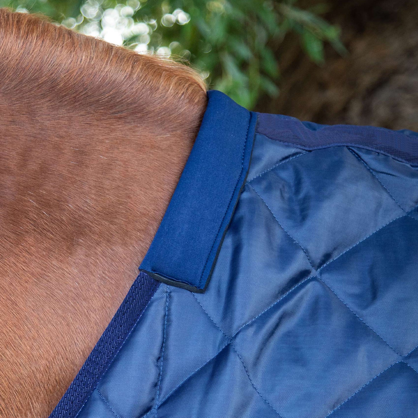 Couverture d’Écurie Tuscan 200g en Polyester Ripstop 420D Respirant | Premier Equine