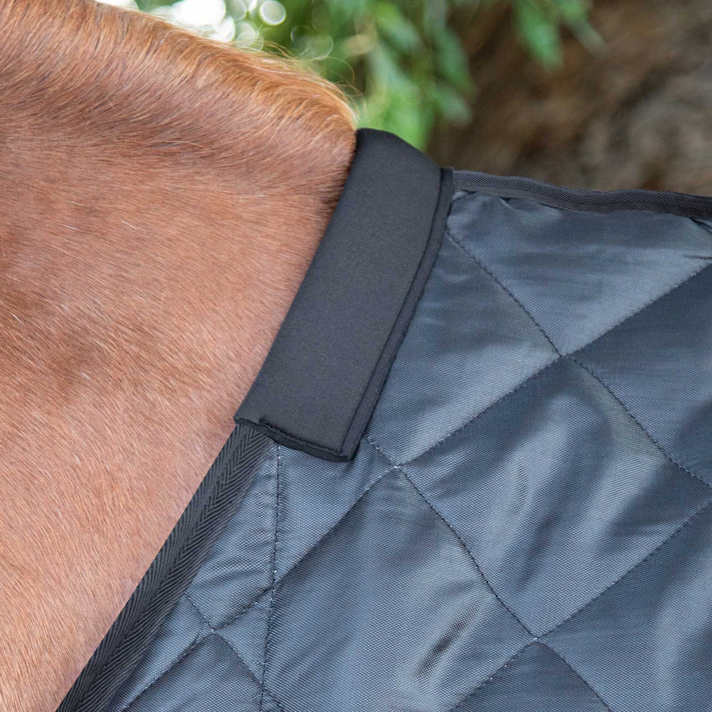 Couverture d’Écurie Tuscan 200g en Polyester Ripstop 420D Respirant | Premier Equine