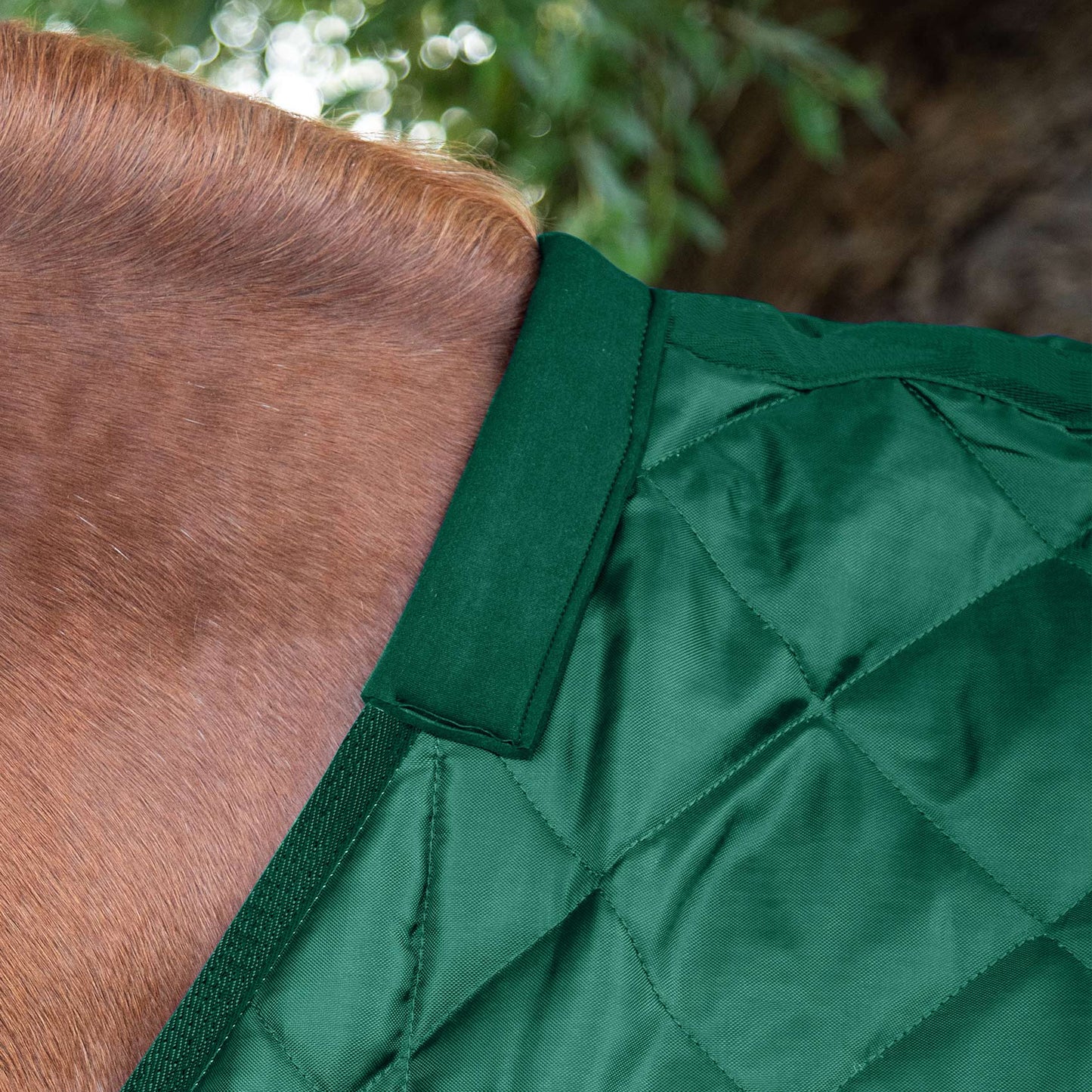 Couverture d’Écurie Tuscan 200g en Polyester Ripstop 420D Respirant | Premier Equine