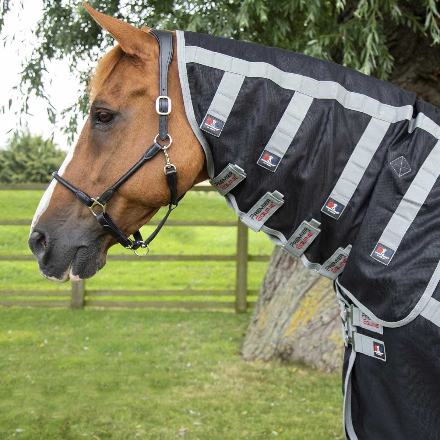 Couverture Magnétique Magni-Teque Premier Equine avec Couvre Cou – Thérapie par Aimants pour Chevaux