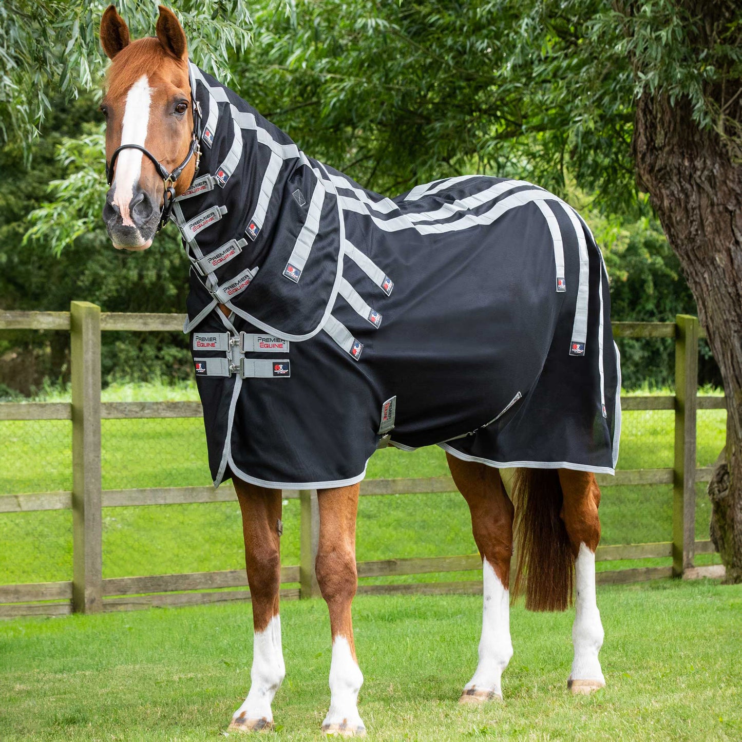 Couverture Magnétique Magni-Teque Premier Equine avec Couvre Cou – Thérapie par Aimants pour Chevaux