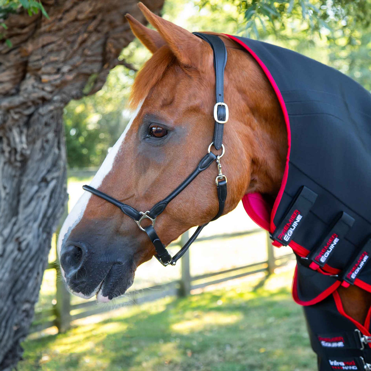 Couverture Nano Tec Infrared Premier Equine – Thérapie Infrarouge pour Chevaux