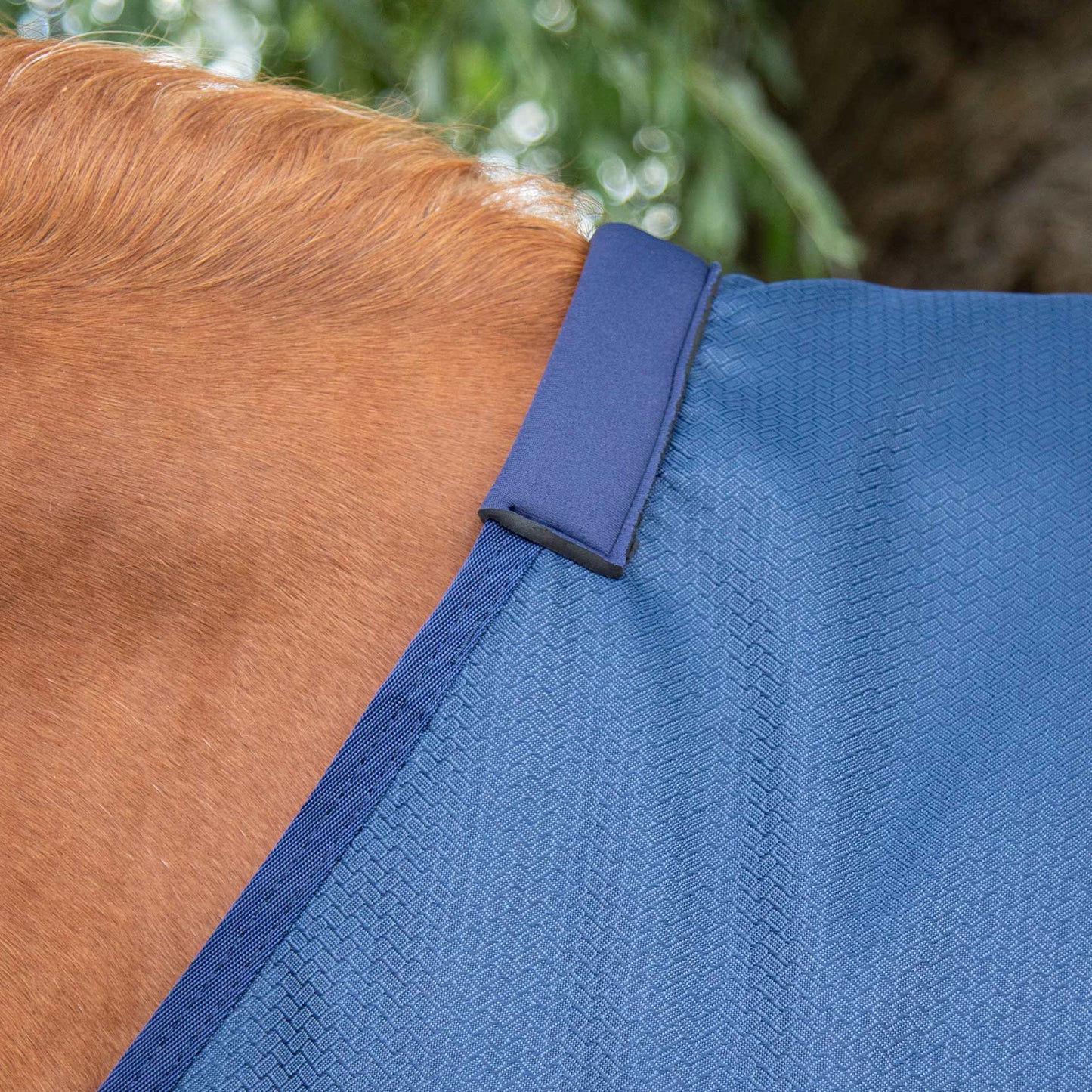 Couverture Akoni 0g Imperméable Polyester 600D Respirante avec Soufflet d'Épaule | Premier Equine