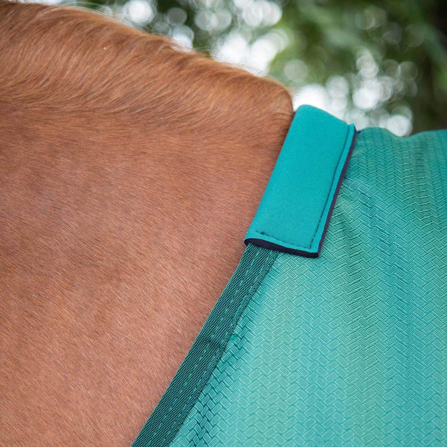 Couverture Akoni 0g Imperméable Polyester 600D Respirante avec Soufflet d'Épaule | Premier Equine
