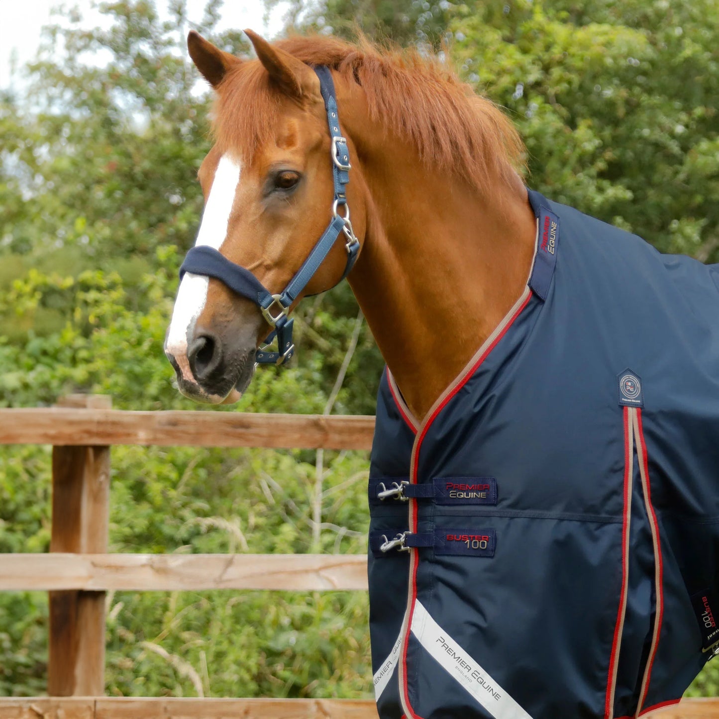 Couverture Buster 100g Imperméable Nylon Balistique 840D avec Couvre-Cou | Premier Equine