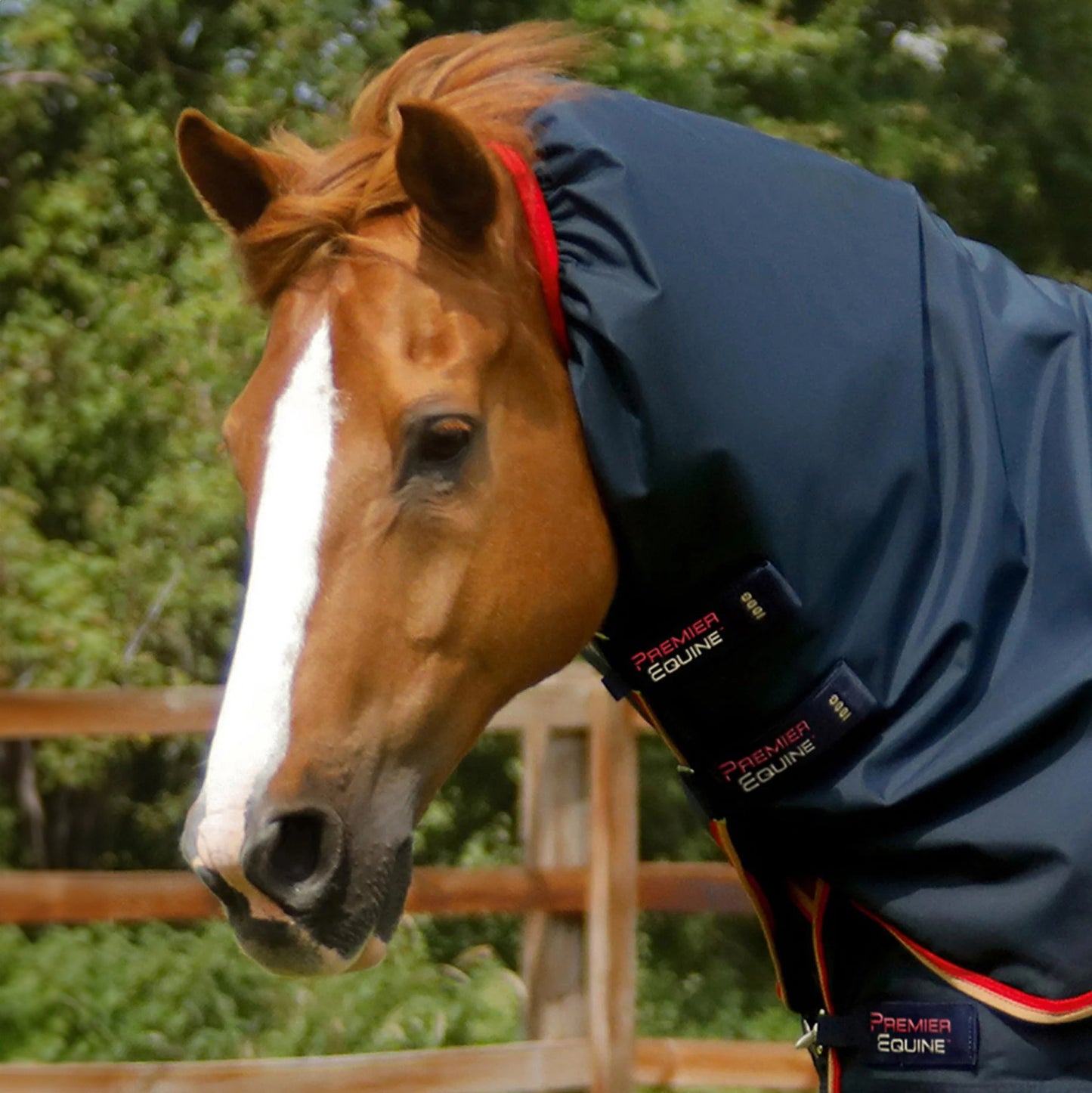 Couverture Buster 100g Imperméable Nylon Balistique 840D avec Couvre-Cou | Premier Equine