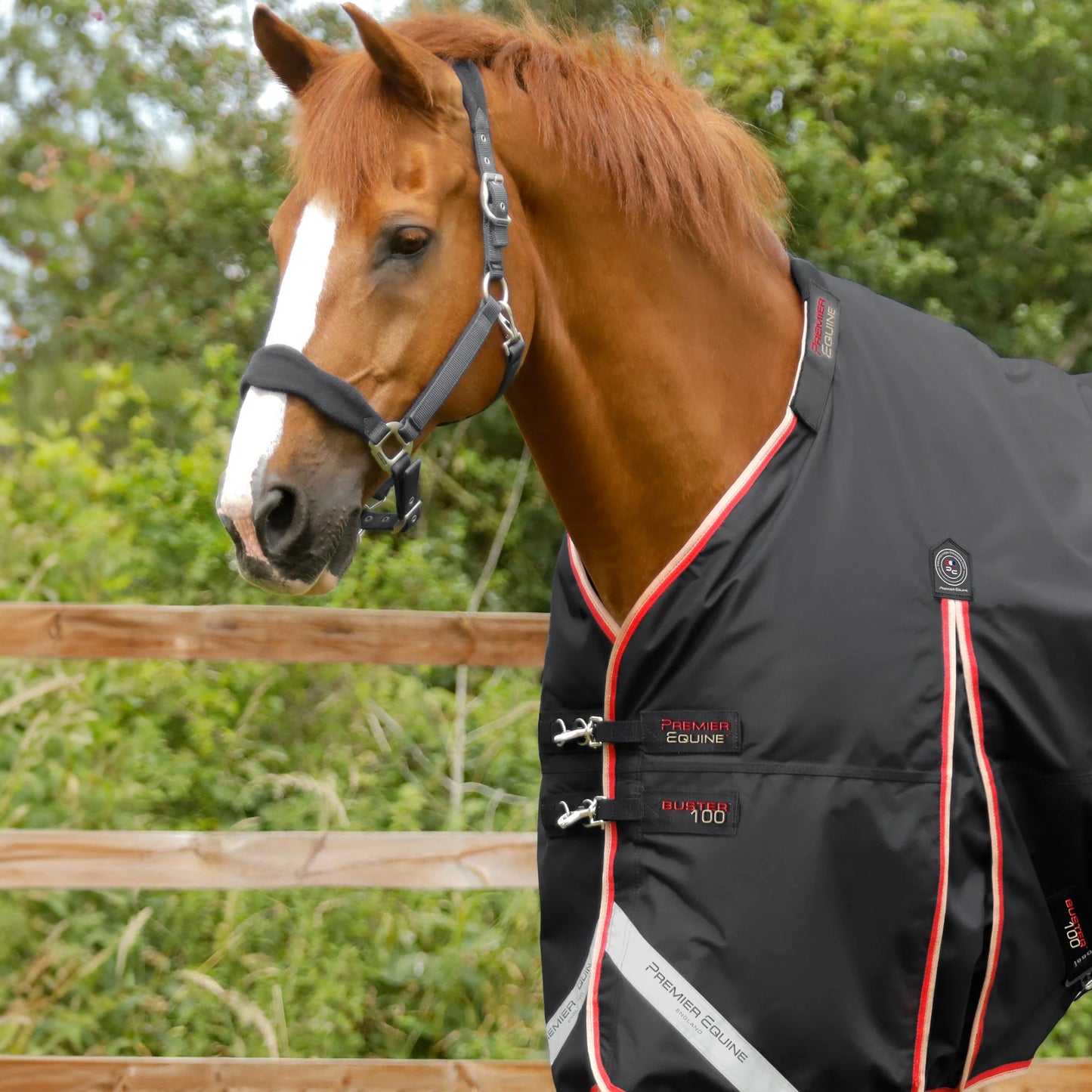 Couverture Buster 100g Imperméable Nylon Balistique 840D avec Couvre-Cou | Premier Equine