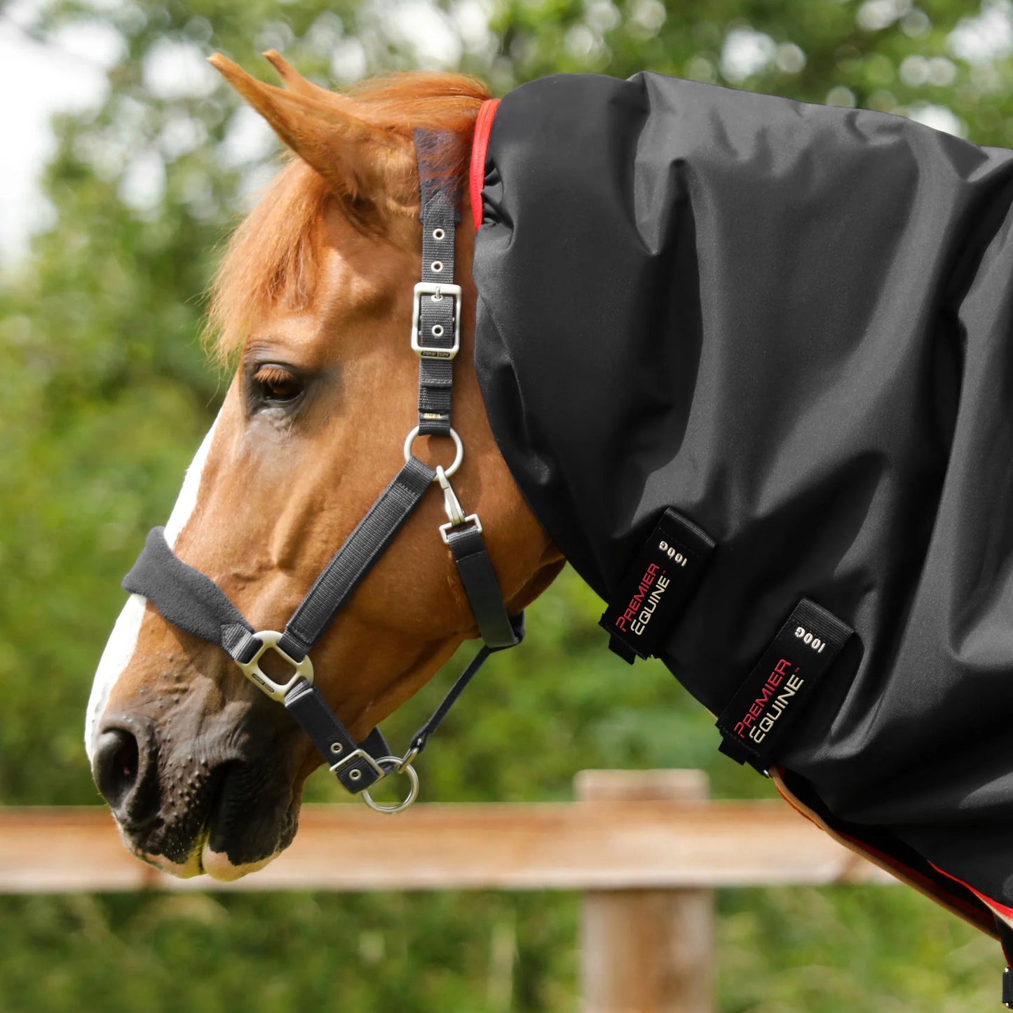 Couverture Buster 100g Imperméable Nylon Balistique 840D avec Couvre-Cou | Premier Equine