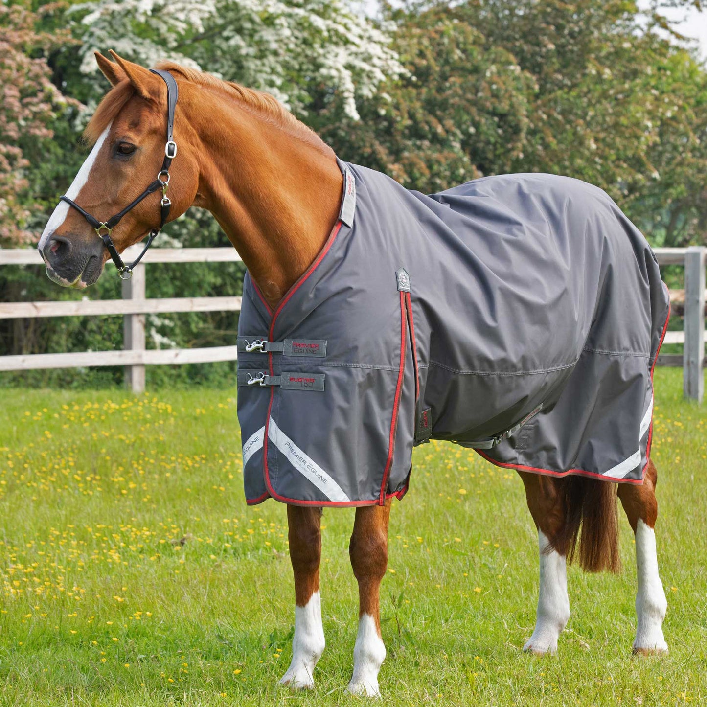 Couverture Buster 150g Nylon Balistique 840D Imperméable avec Couvre-Cou | Premier Equine