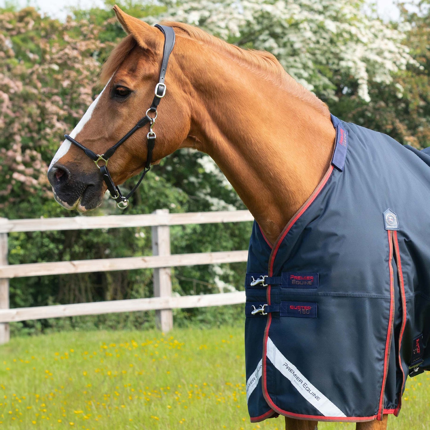 Couverture Buster 150g Nylon Balistique 840D Imperméable avec Couvre-Cou | Premier Equine