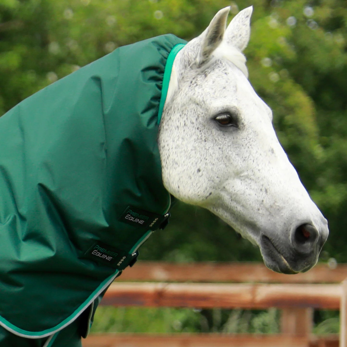 Couverture Buster 200g Imperméable Nylon Balistique 840D avec Couvre-Cou Snug-Fit | Premier Equine