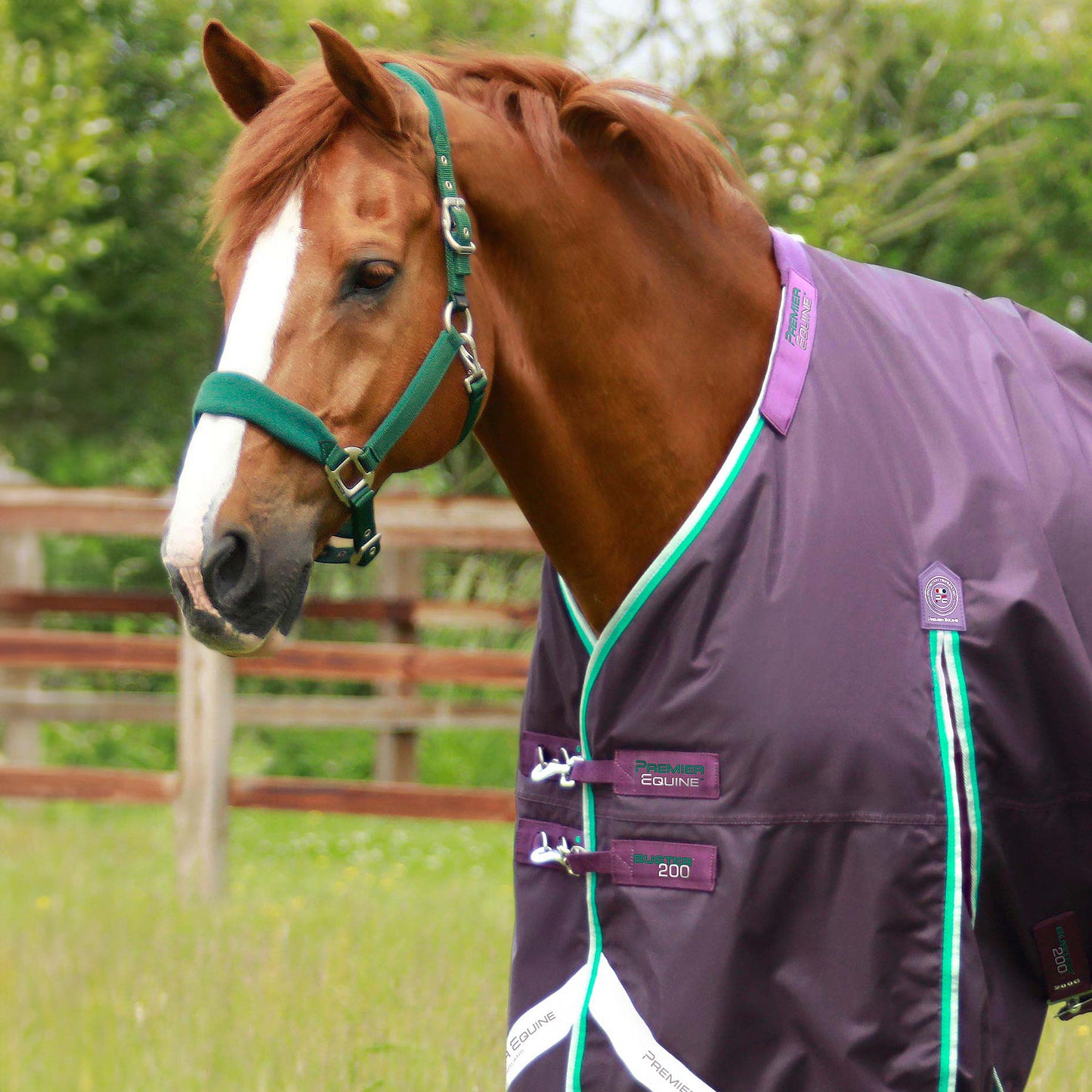 Couverture Buster 200g Imperméable Nylon Balistique 840D avec Couvre-Cou Snug-Fit | Premier Equine