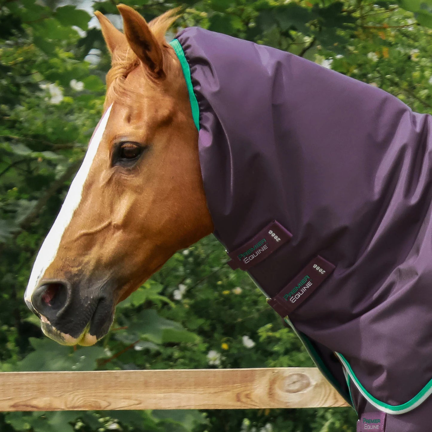 Couverture Buster 200g Imperméable Nylon Balistique 840D avec Couvre-Cou Snug-Fit | Premier Equine