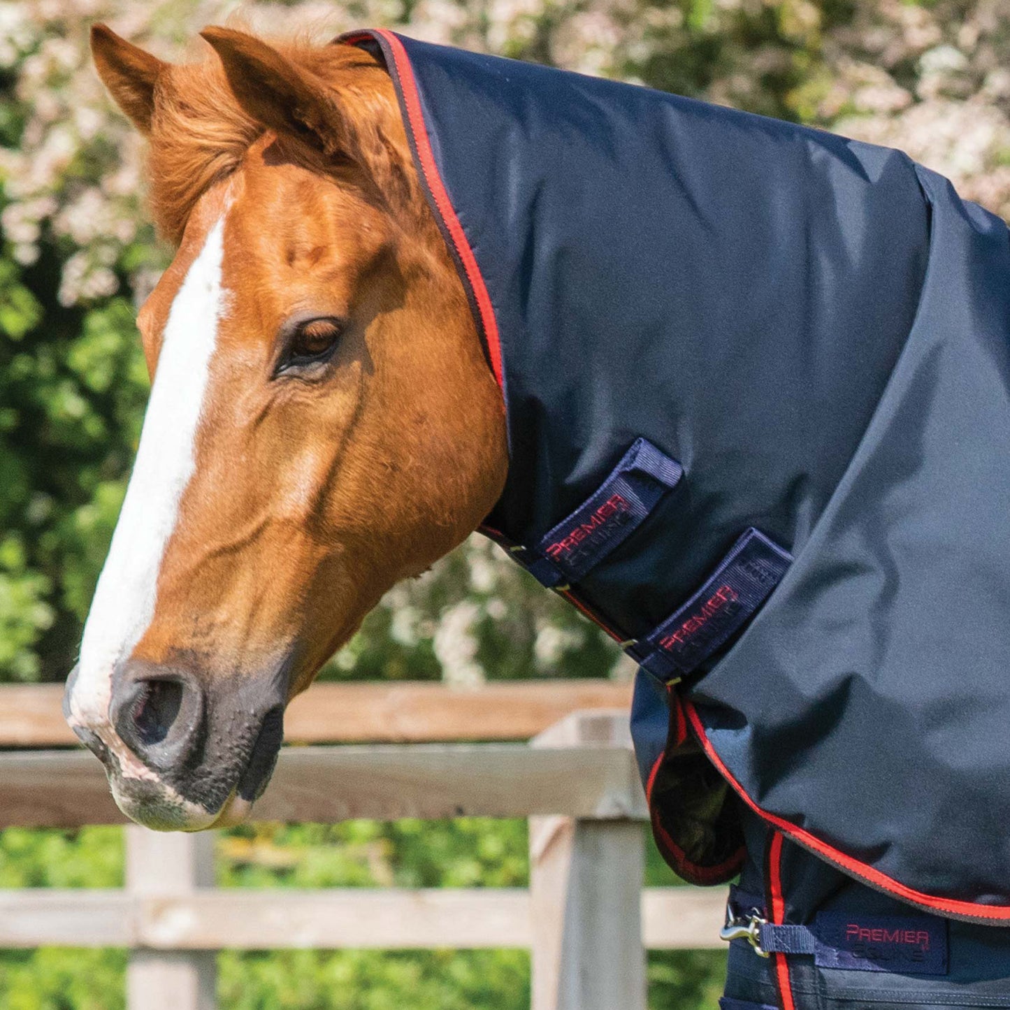 Couverture Buster 250g Imperméable Nylon Balistique 840D avec Couvre-Cou | Premier Equine