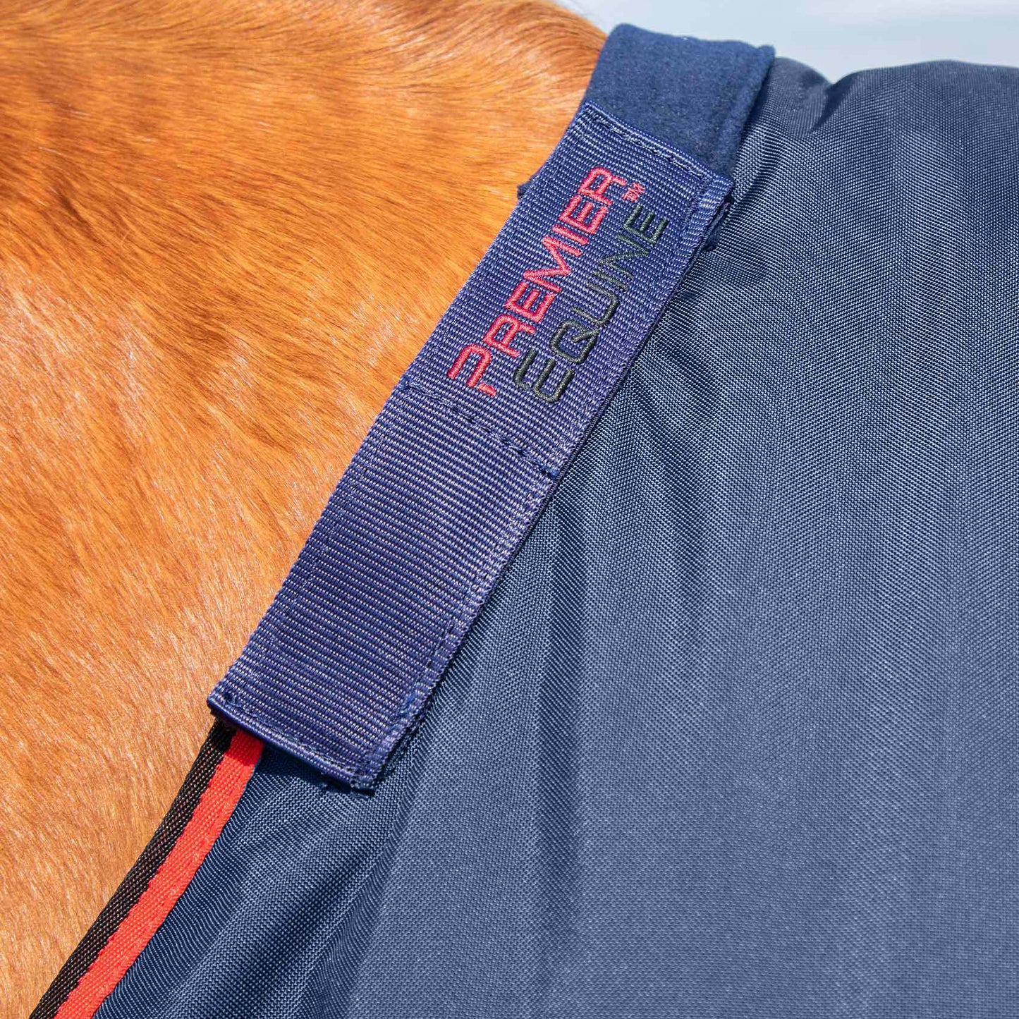Couverture Buster 250g Imperméable Nylon Balistique 840D avec Couvre-Cou | Premier Equine