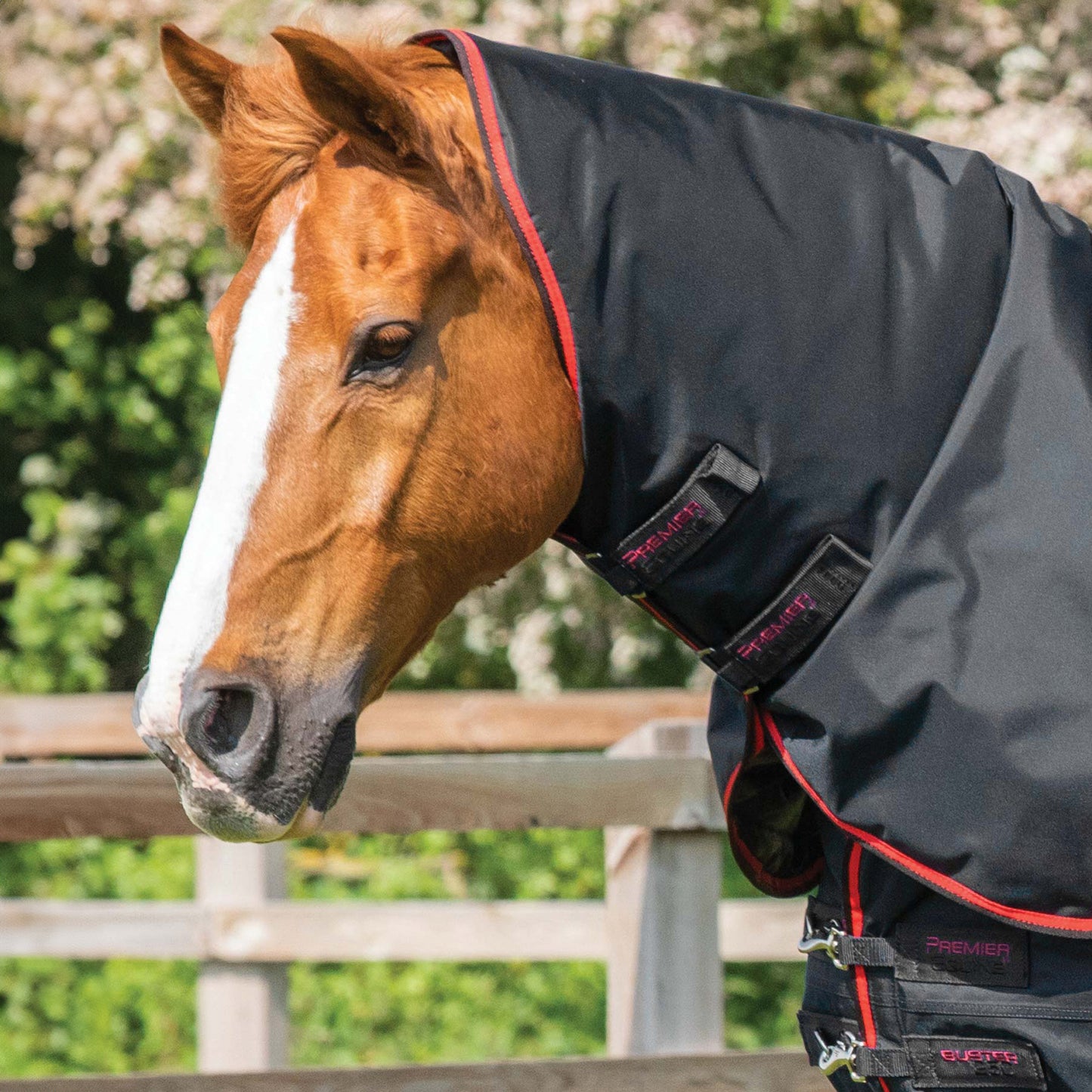 Couverture Buster 250g Imperméable Nylon Balistique 840D avec Couvre-Cou | Premier Equine
