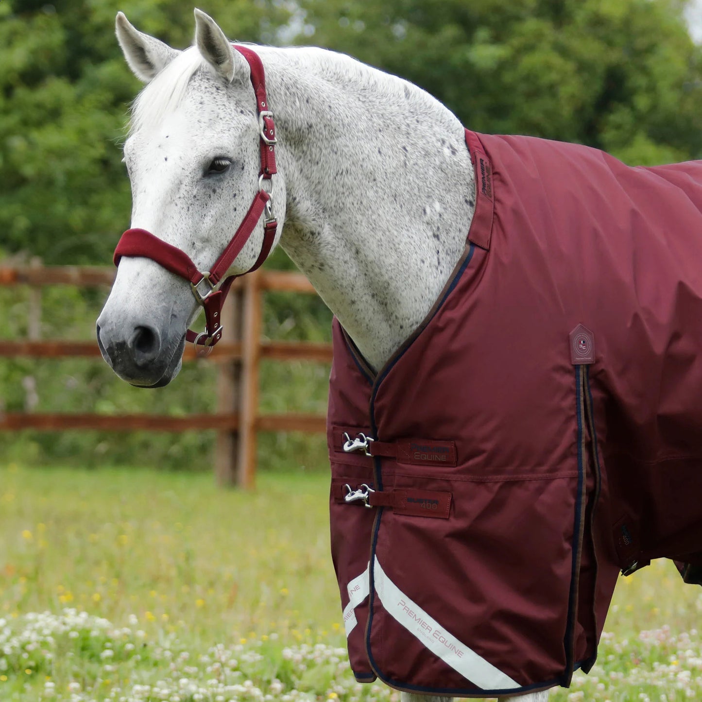 Couverture Buster 400g Imperméable Nylon 840D avec Couvre-Cou | Premier Equine