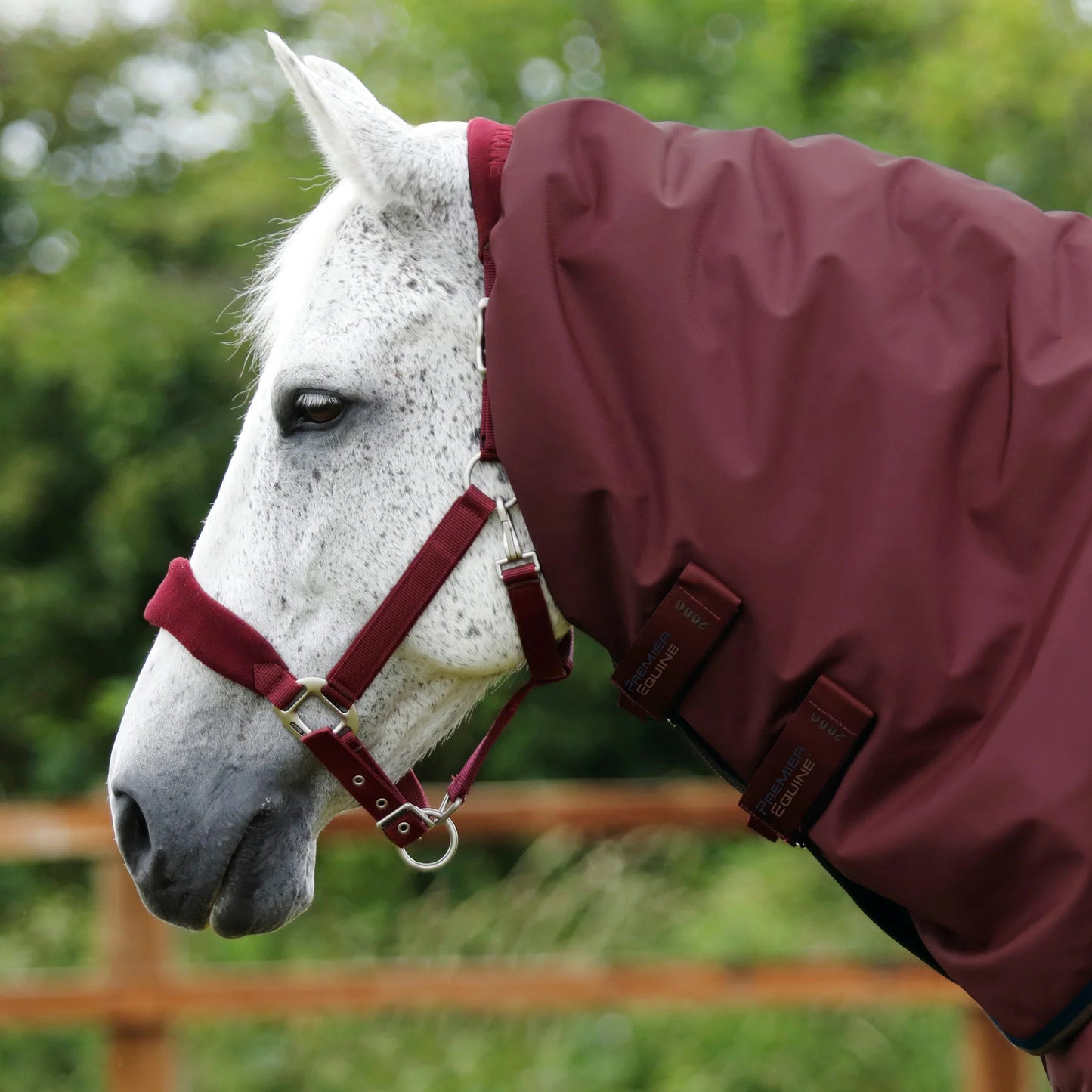 Couverture Buster 400g Imperméable Nylon 840D avec Couvre-Cou | Premier Equine