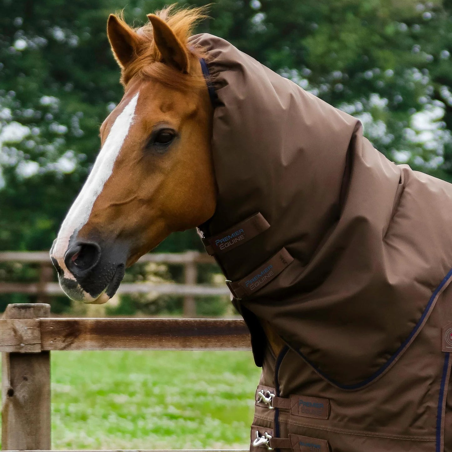 Couverture Buster 400g Imperméable Nylon 840D avec Couvre-Cou | Premier Equine