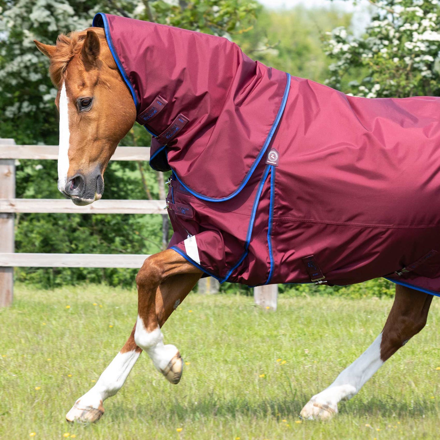 Couverture Buster 40g Imperméable Nylon Balistique 840D avec Couvre-Cou | Premier Equine