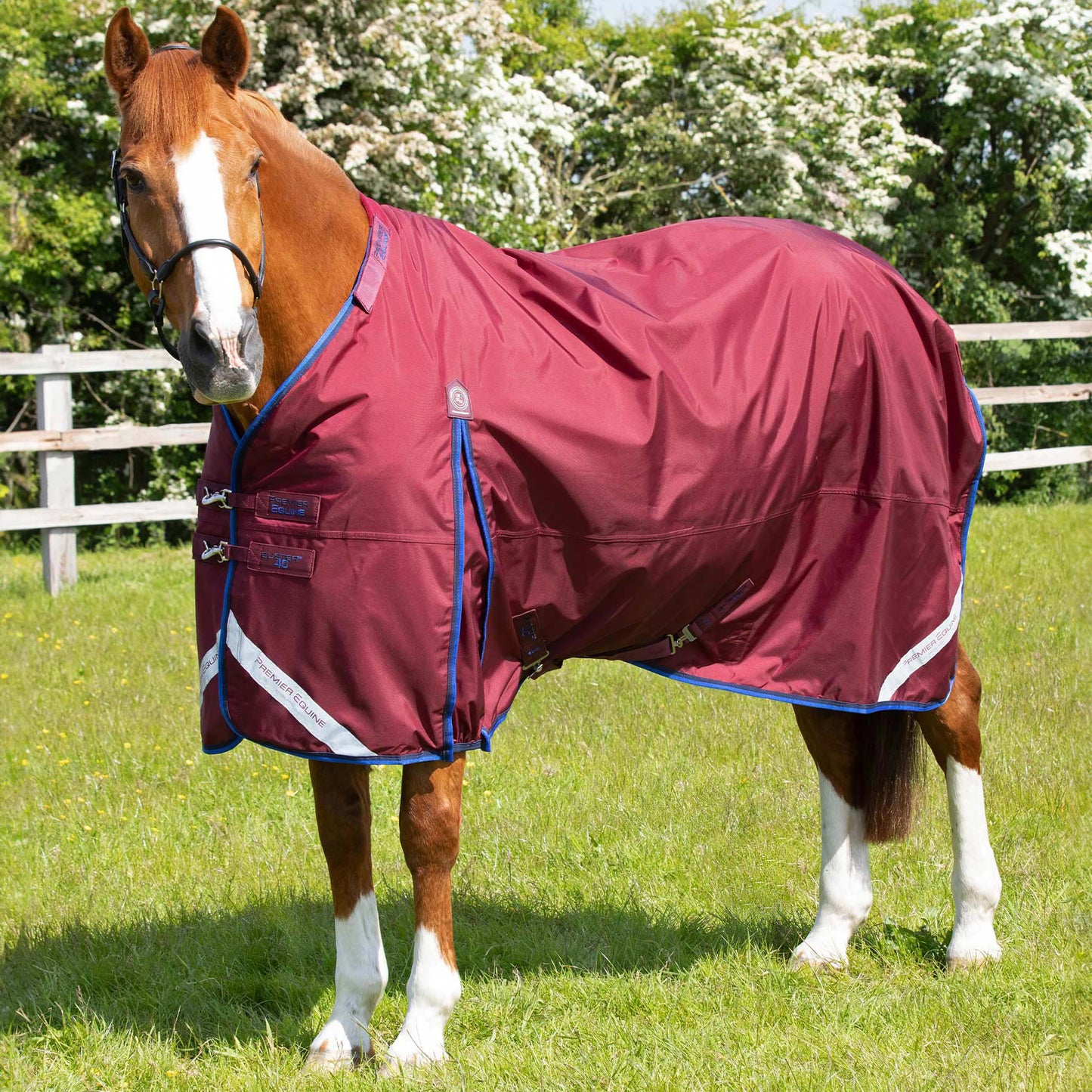 Couverture Buster 40g Imperméable Nylon Balistique 840D avec Couvre-Cou | Premier Equine