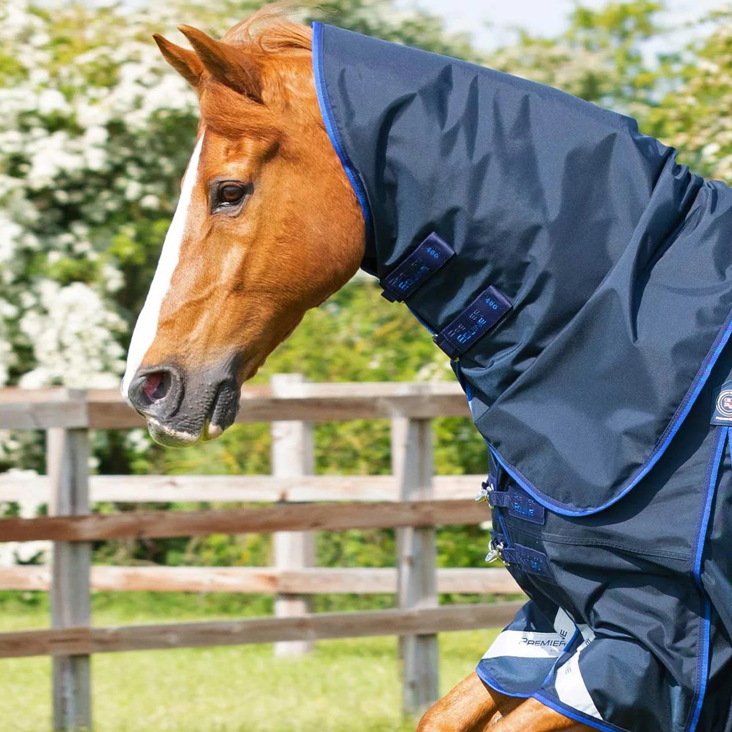 Couverture Buster 40g Imperméable Nylon Balistique 840D avec Couvre-Cou | Premier Equine