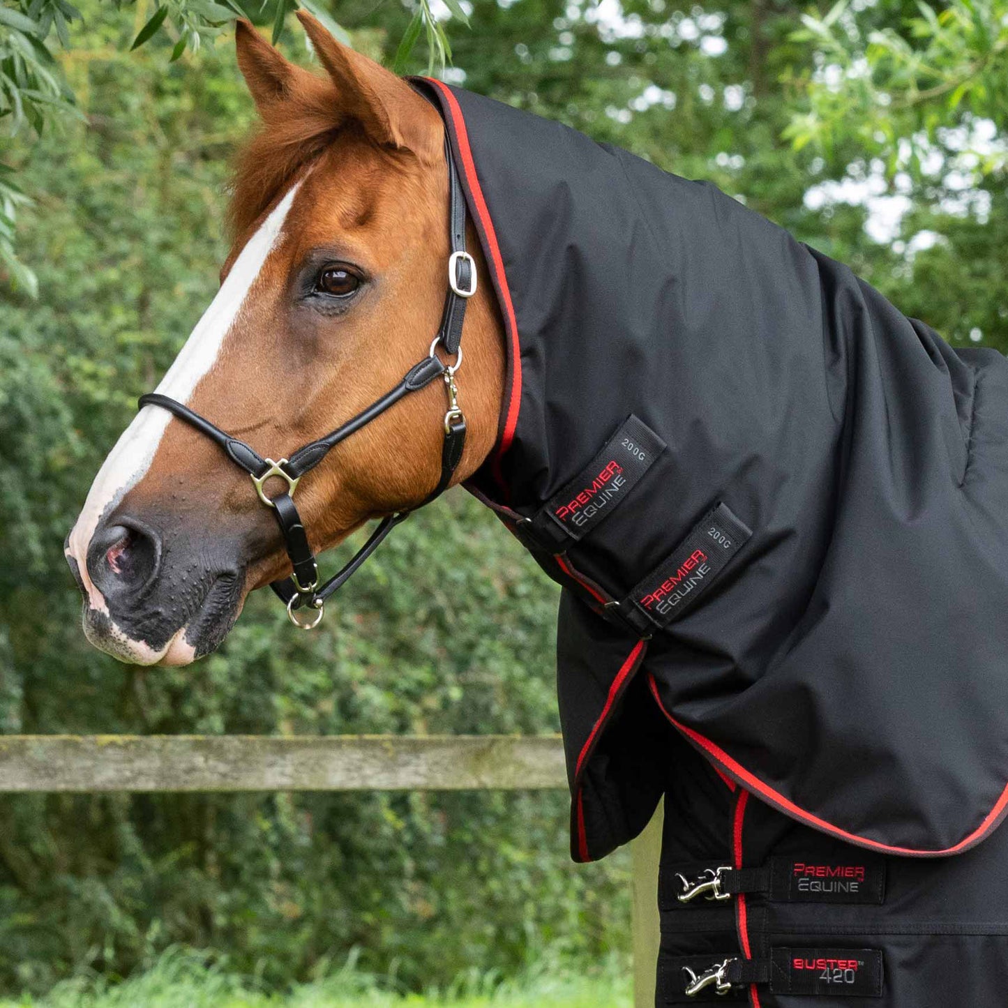 Couverture Buster 420g Imperméable Nylon Balistique 840D avec Couvre-Cou | Premier Equine