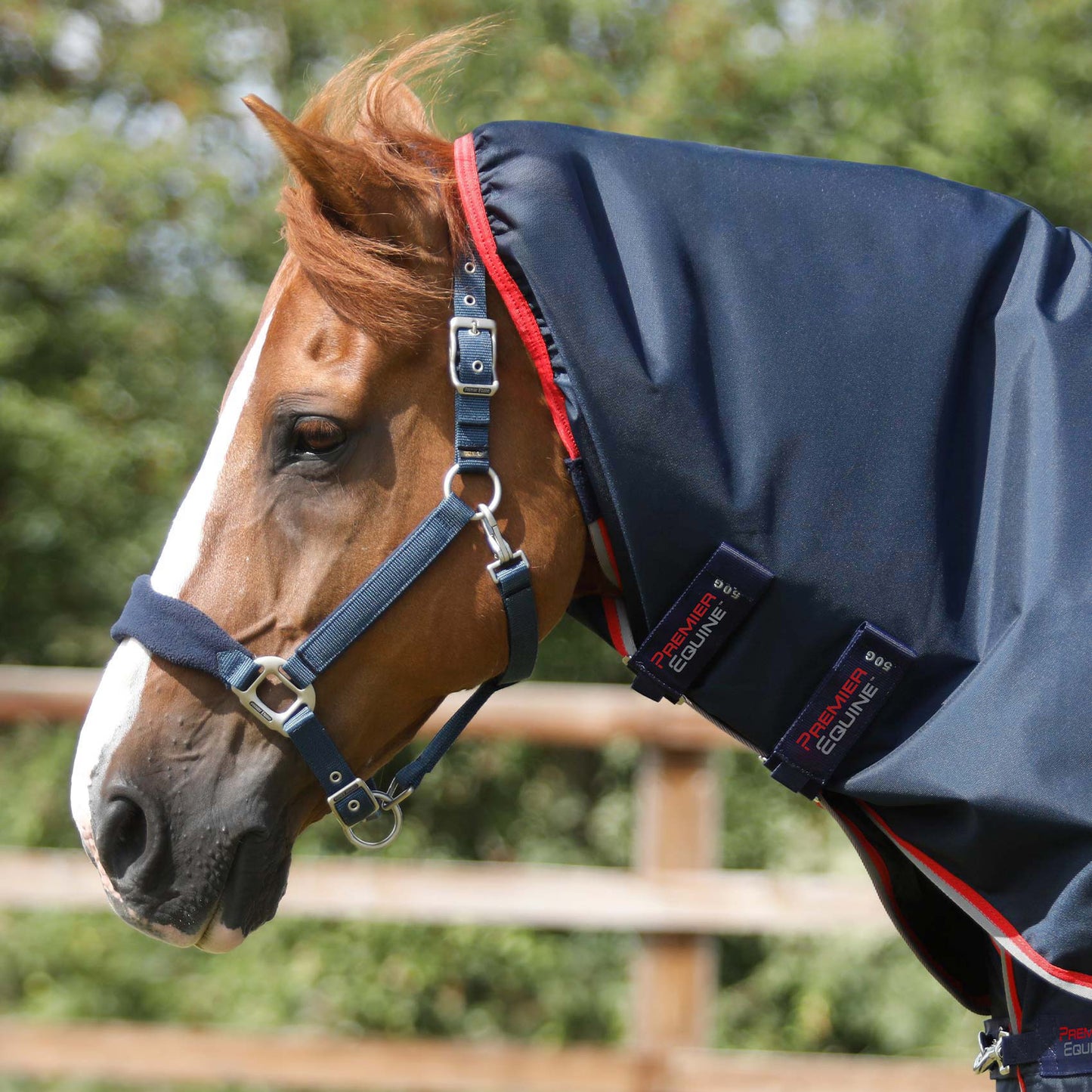 Couverture Buster 50g Nylon Balistique 840D Imperméable avec Couvre-Cou | Premier Equine