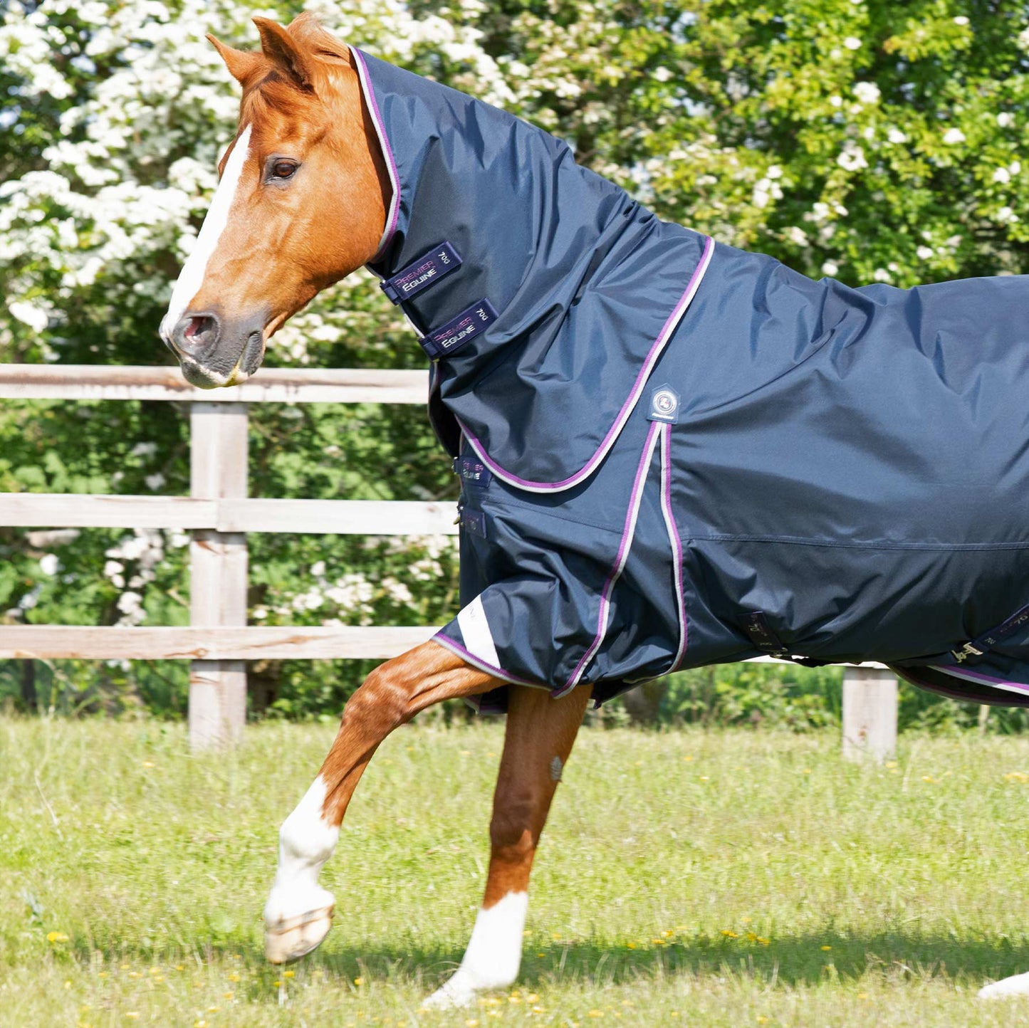 Couverture Buster 70g Nylon Balistique 840D Imperméable Sans Couvre-Cou | Premier Equine