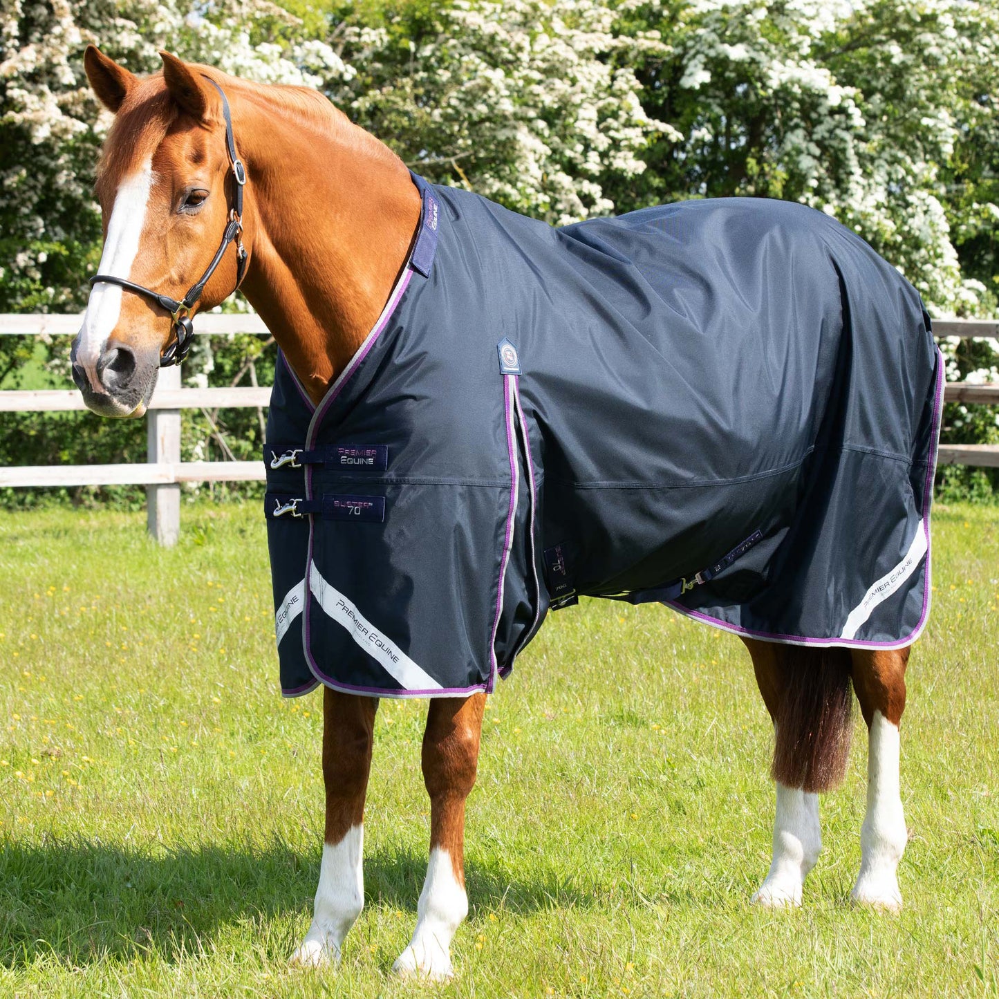Couverture Buster 70g Nylon Balistique 840D Imperméable Sans Couvre-Cou | Premier Equine