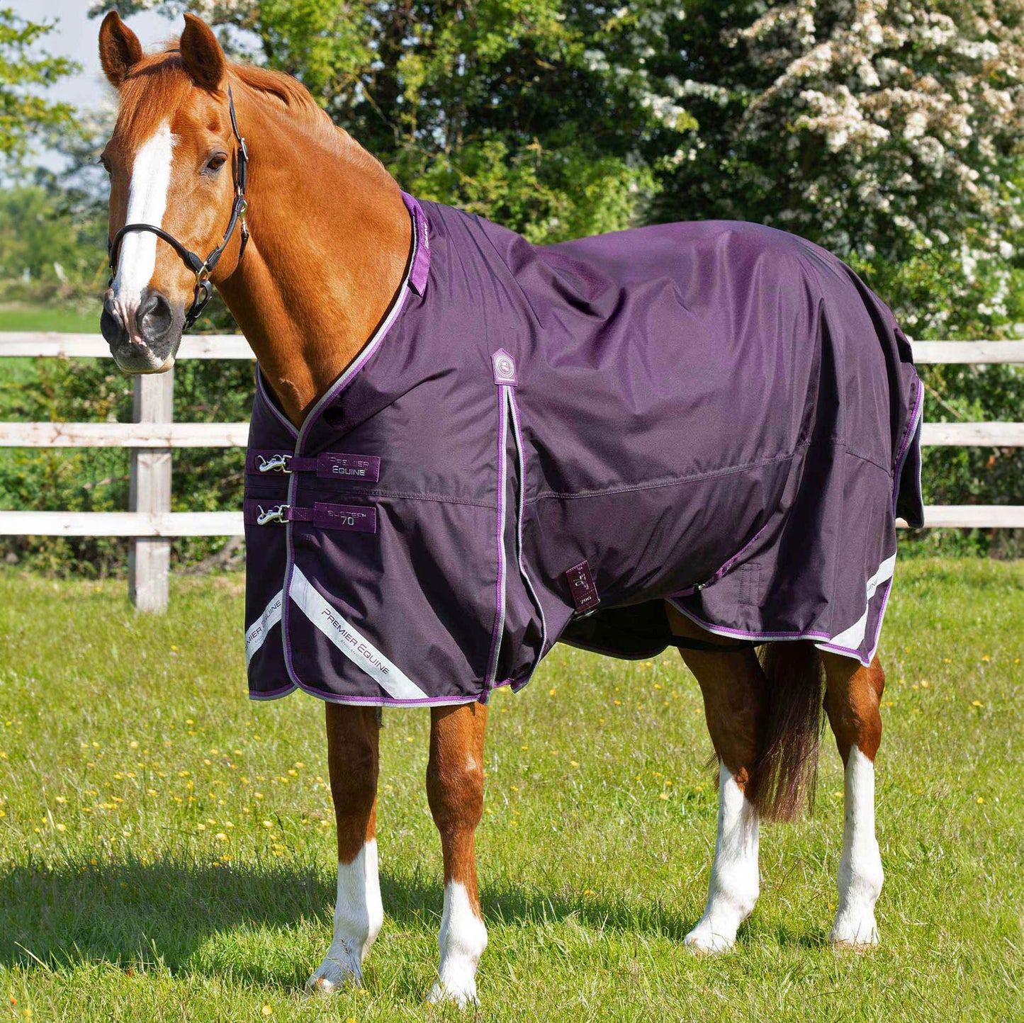 Couverture Buster 70g Nylon Balistique 840D Imperméable Sans Couvre-Cou | Premier Equine