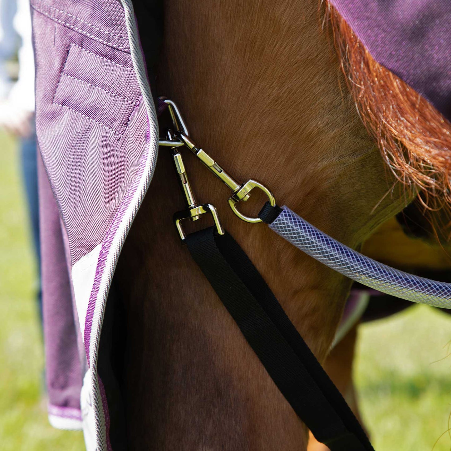 Couverture Buster 70g Nylon Balistique 840D Imperméable Sans Couvre-Cou | Premier Equine