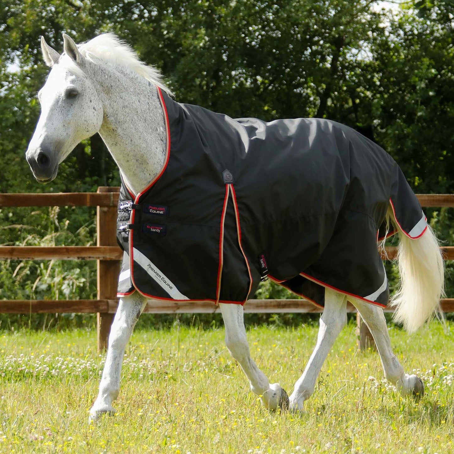 Couverture Cheval Buster Hardy 100g Demi-Cou – Imperméable et Chaude