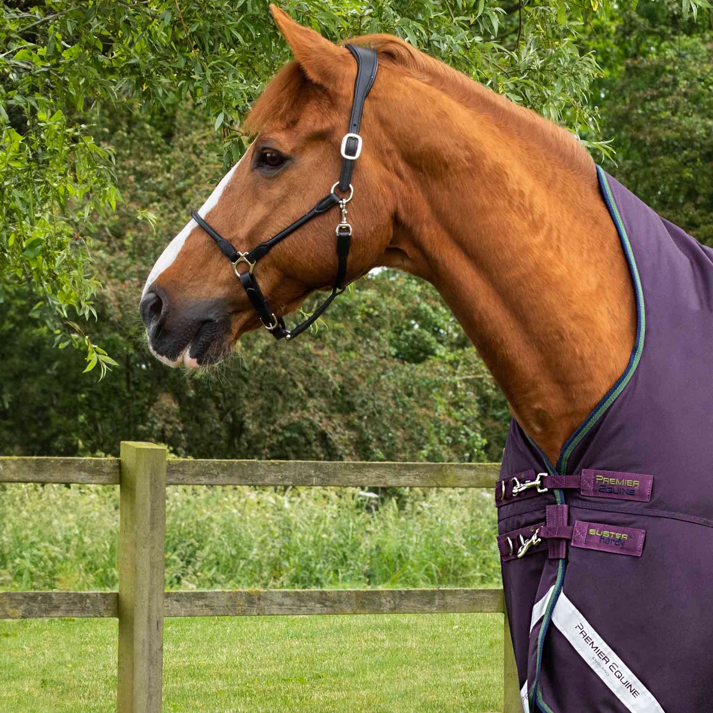 Couverture Cheval Buster Hardy 100g Demi-Cou – Imperméable et Chaude