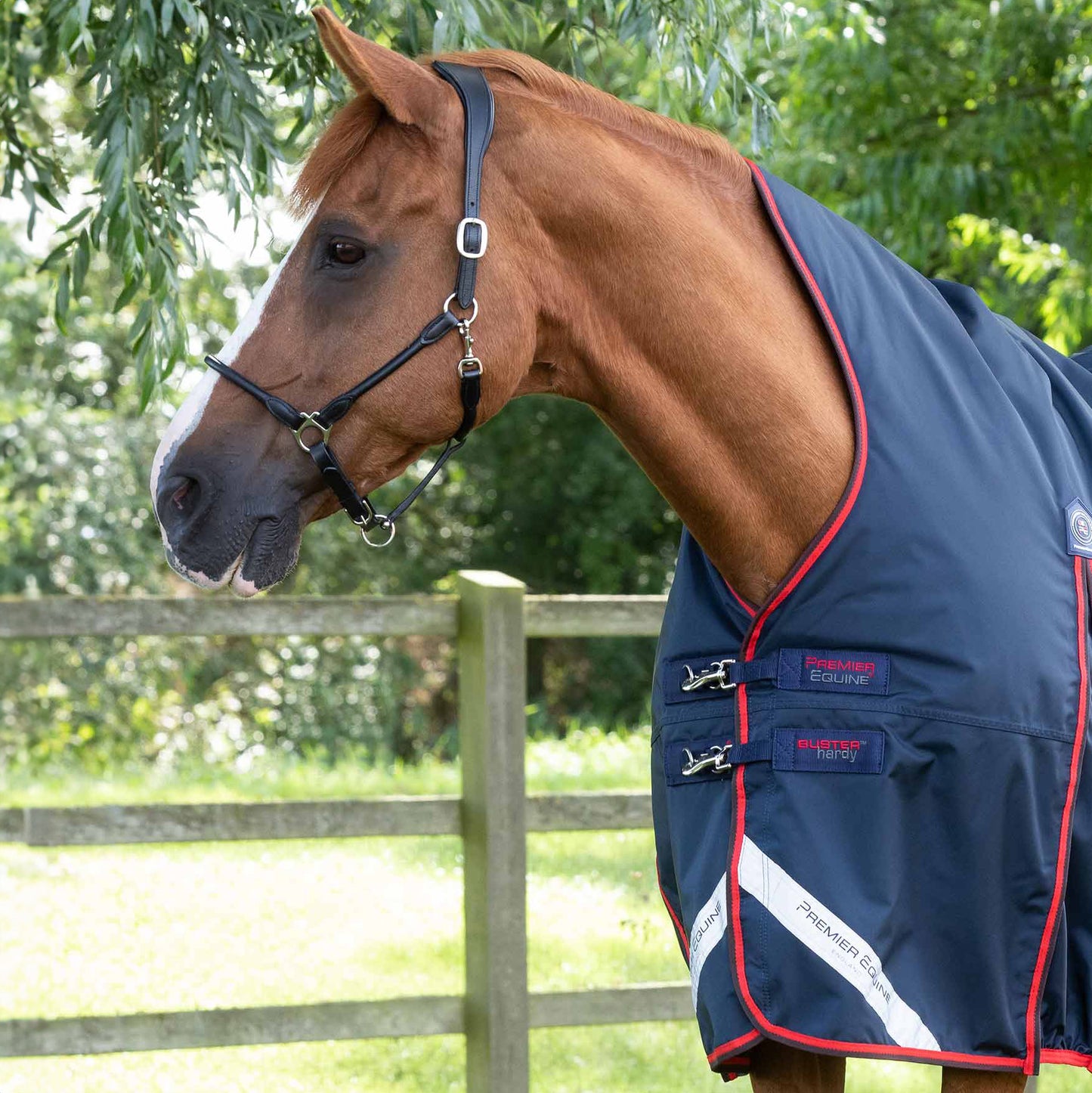Couverture Cheval Buster Hardy 200g Demi-Cou – Chaude et Imperméable