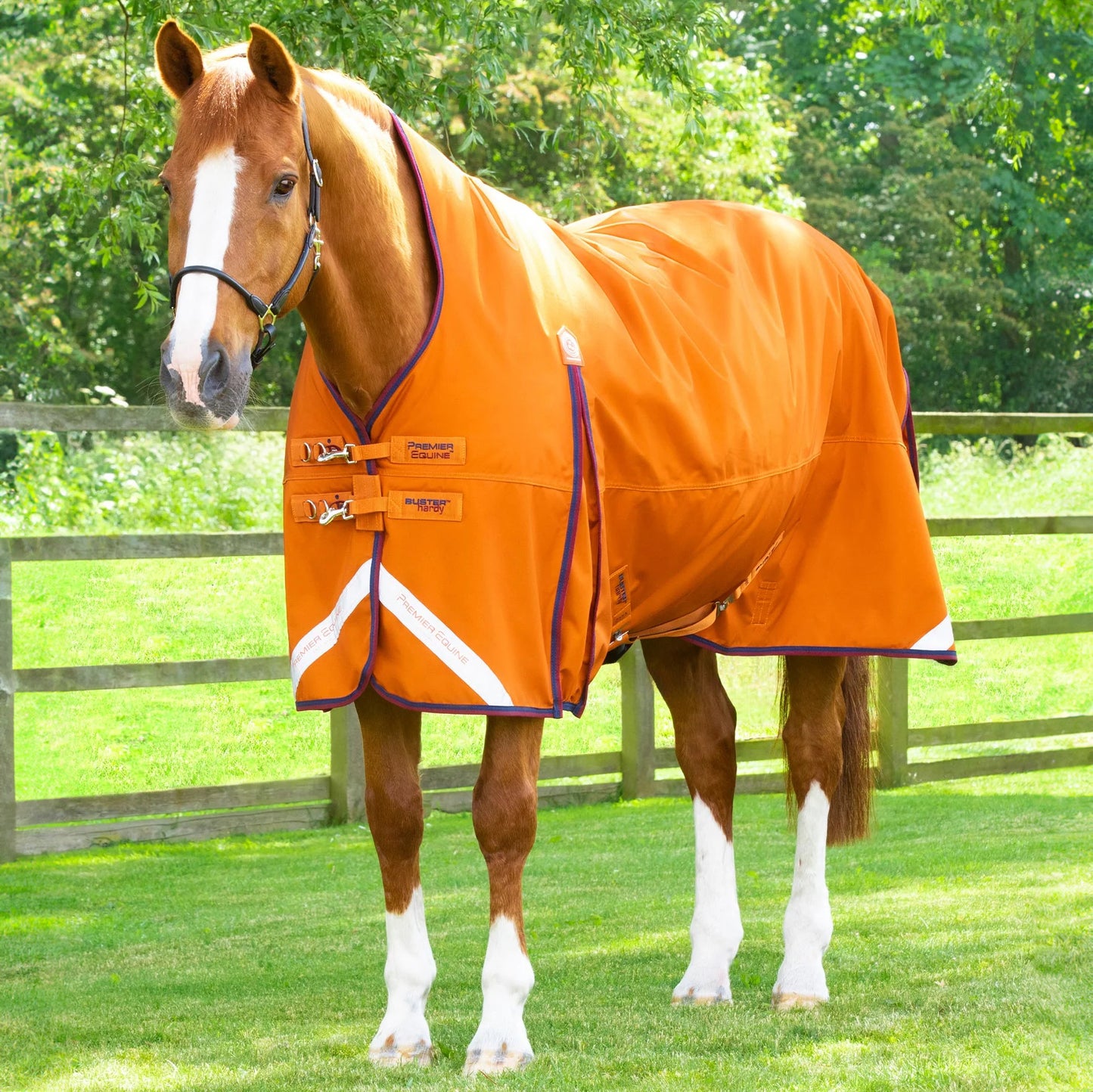 Couverture Cheval Buster Hardy 200g Demi-Cou – Chaude et Imperméable
