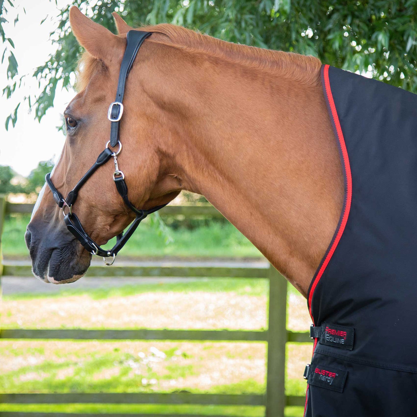 Couverture Cheval Buster Hardy 400g Demi-Cou - Premier Equine