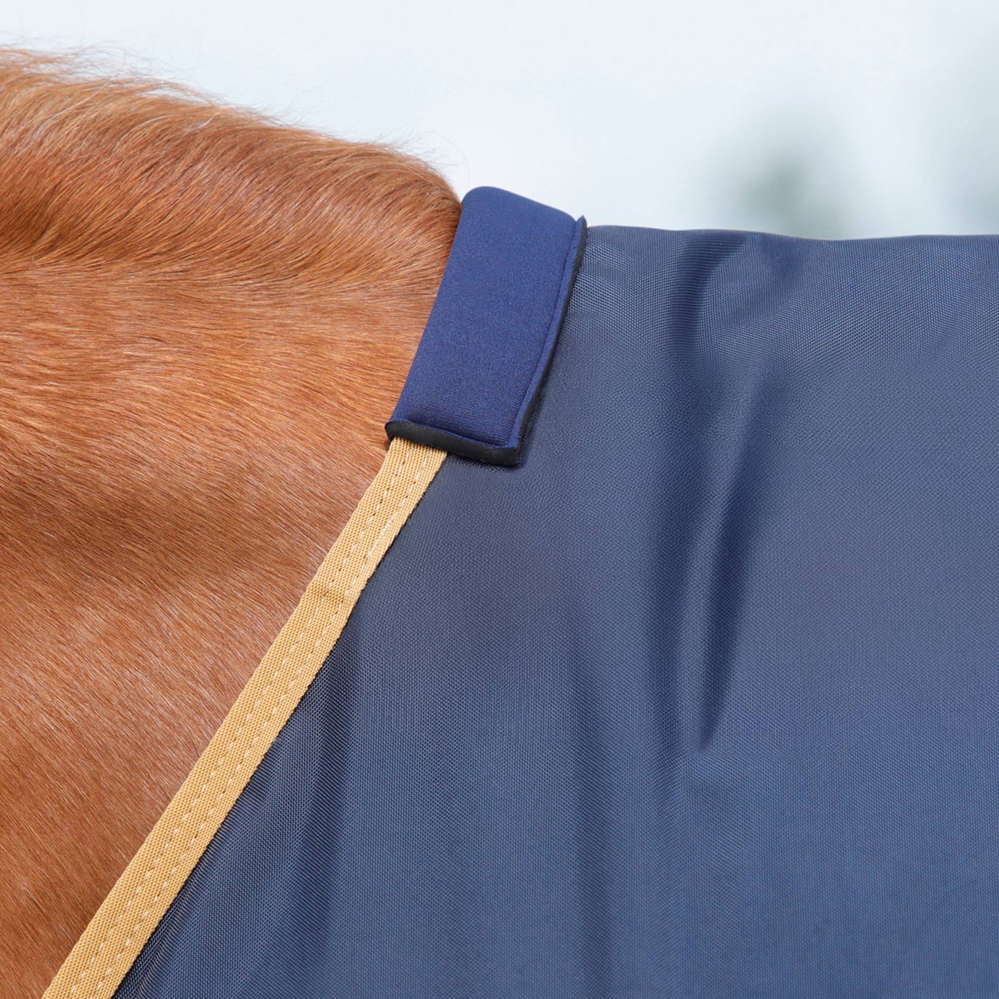 Couverture Cheval Buster Original 50g Premier Equine – Imperméable et Respirante