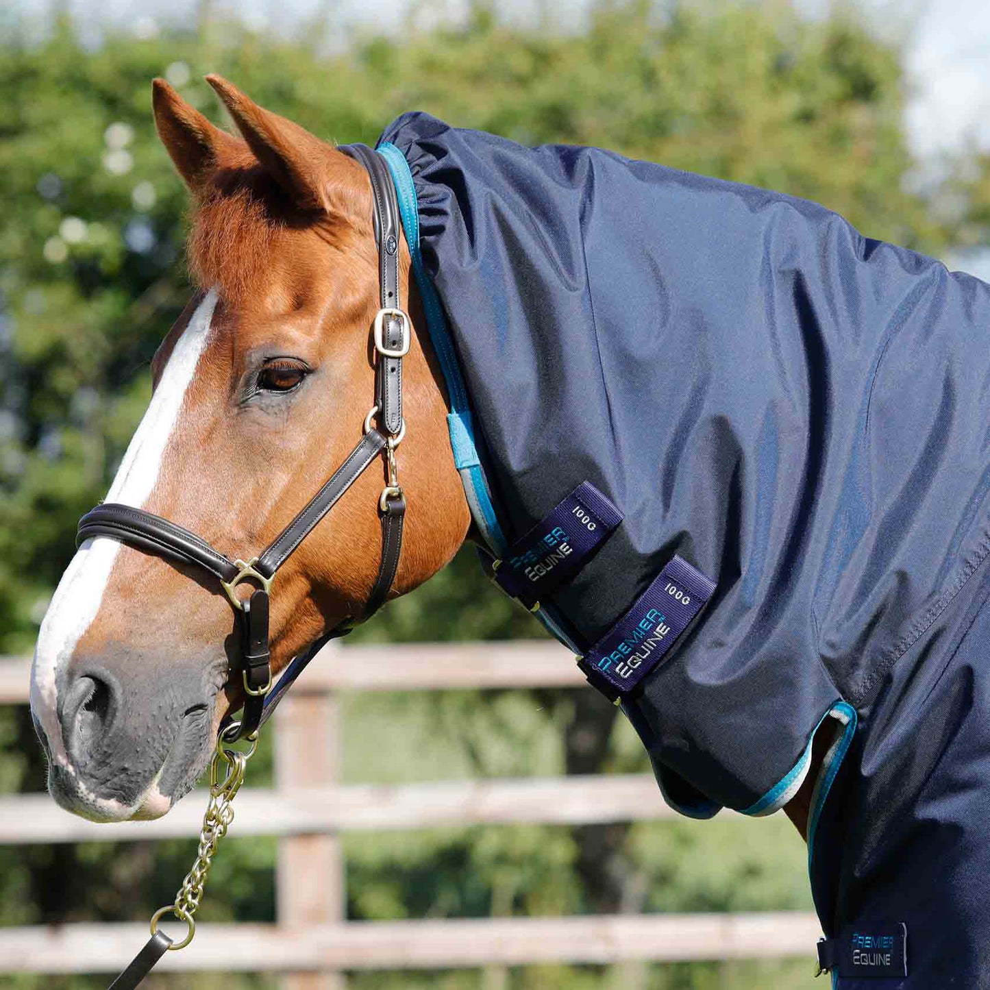 Couverture Buster Storm 100g Imperméable Nylon Balistique 840D avec Couvre-Cou | Premier Equine