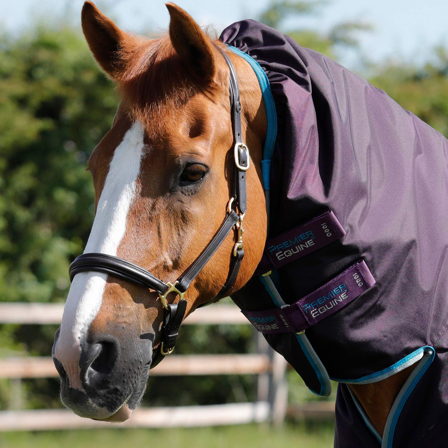 Couverture Buster Storm 100g Imperméable Nylon Balistique 840D avec Couvre-Cou | Premier Equine