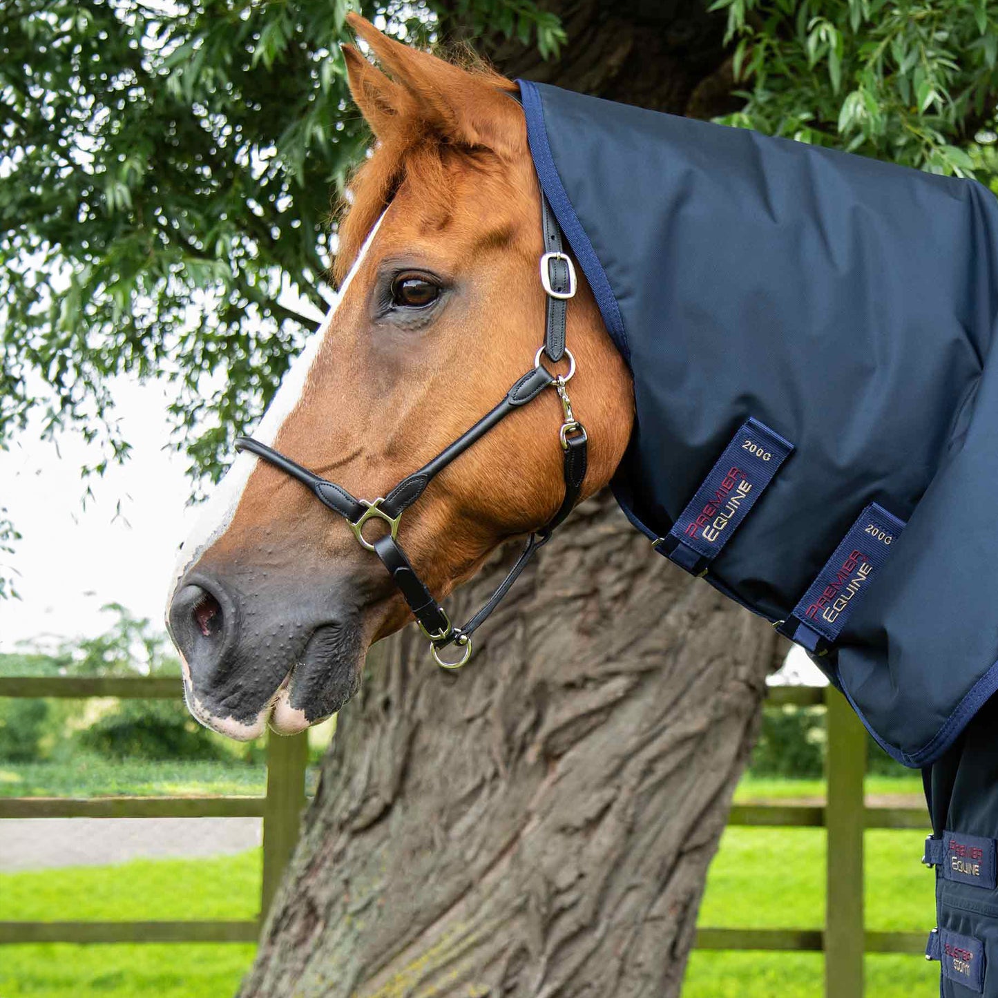 Couverture Buster Storm 220g Imperméable Nylon Balistique 840D avec Couvre-Cou | Premier Equine