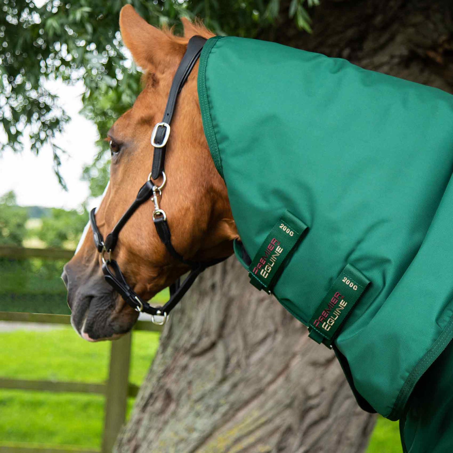 Couverture Buster Storm 220g Imperméable Nylon Balistique 840D avec Couvre-Cou | Premier Equine