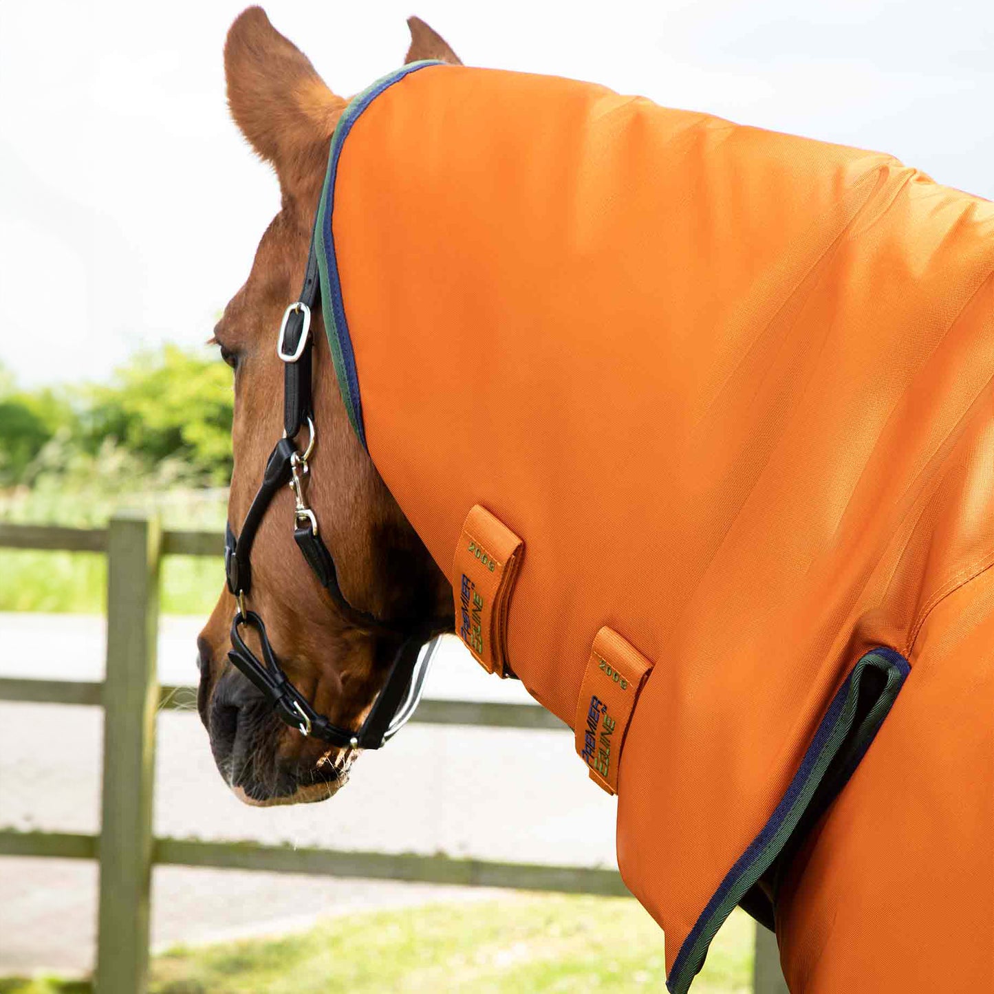 Couverture Buster Storm 400g Imperméable Nylon Balistique 840D avec Couvre-Cou Classique | Premier Equine