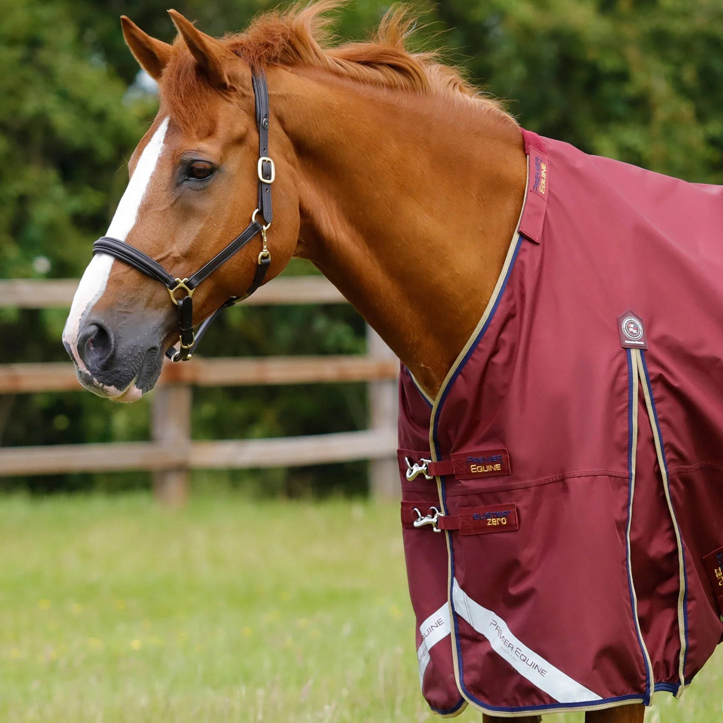 Couverture Buster Zero 0g Imperméable Nylon Balistique 840D | Premier Equine