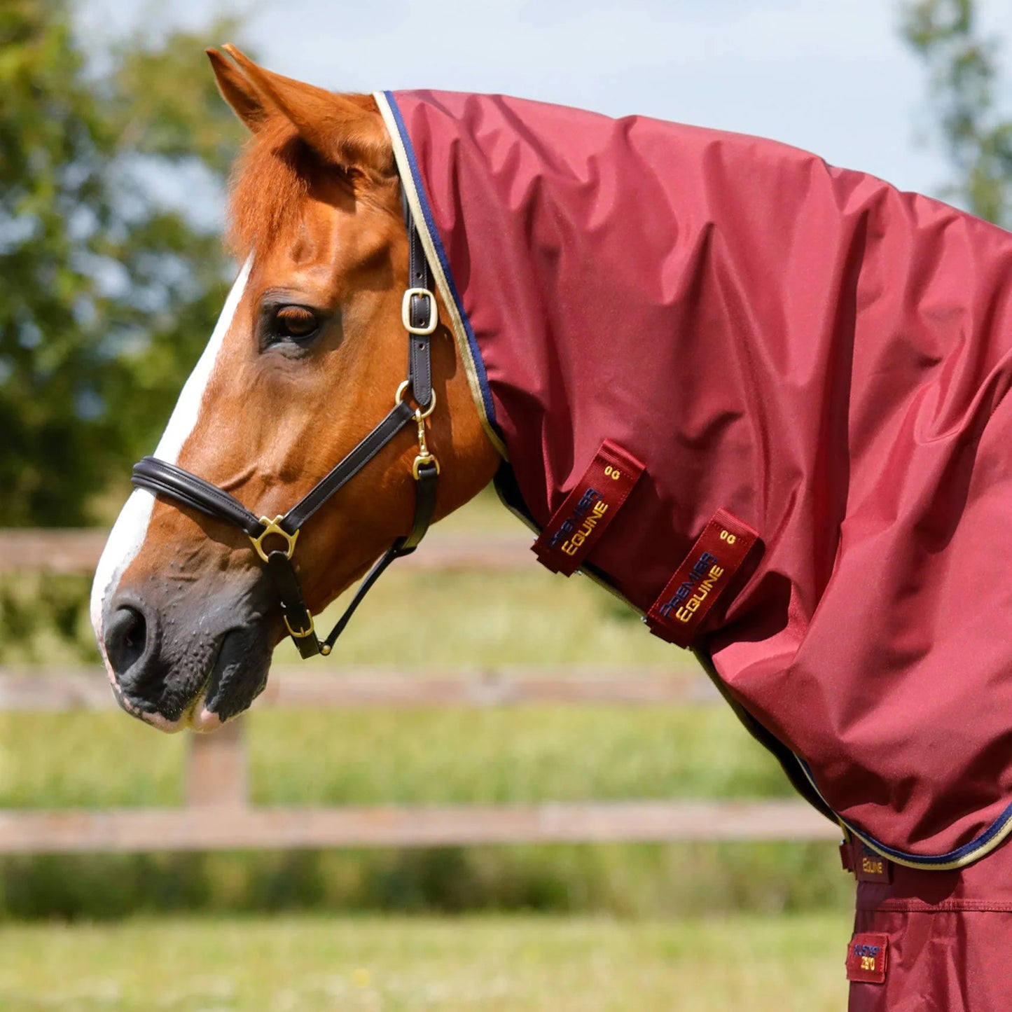 Couverture Buster Zero 0g Imperméable Nylon Balistique 840D | Premier Equine